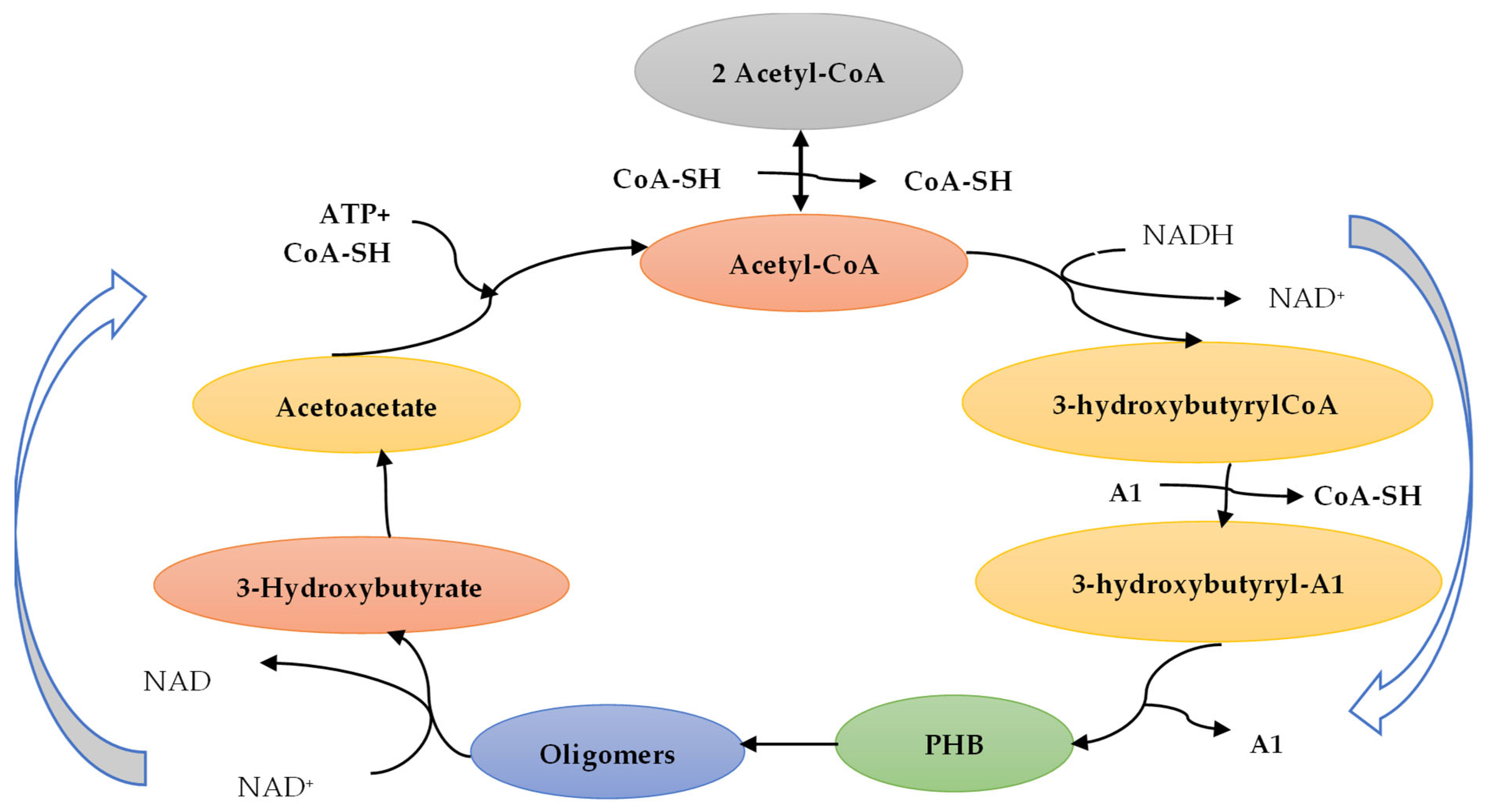 Membranes 15 00210 g005