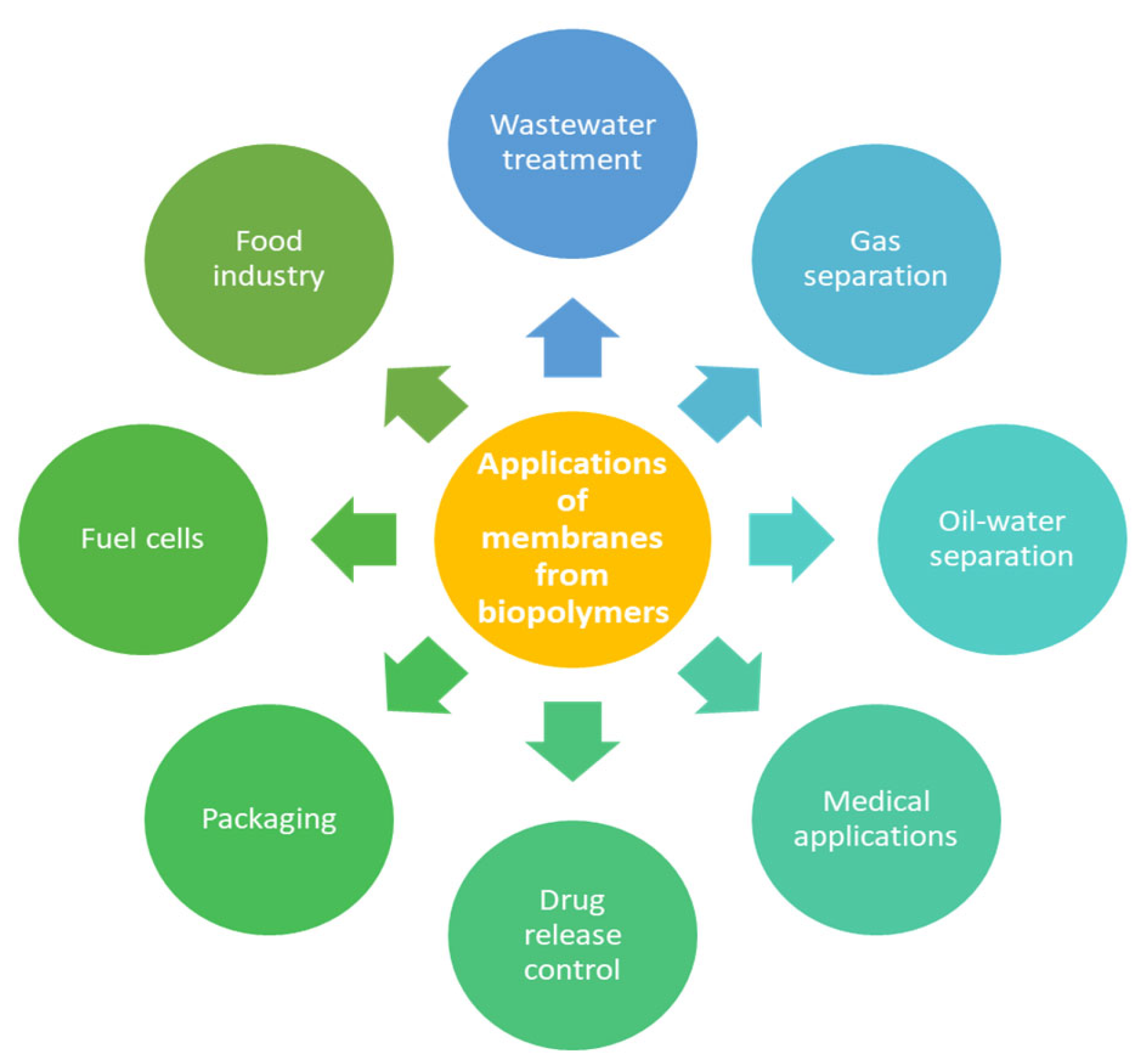 Membranes 15 00210 g011