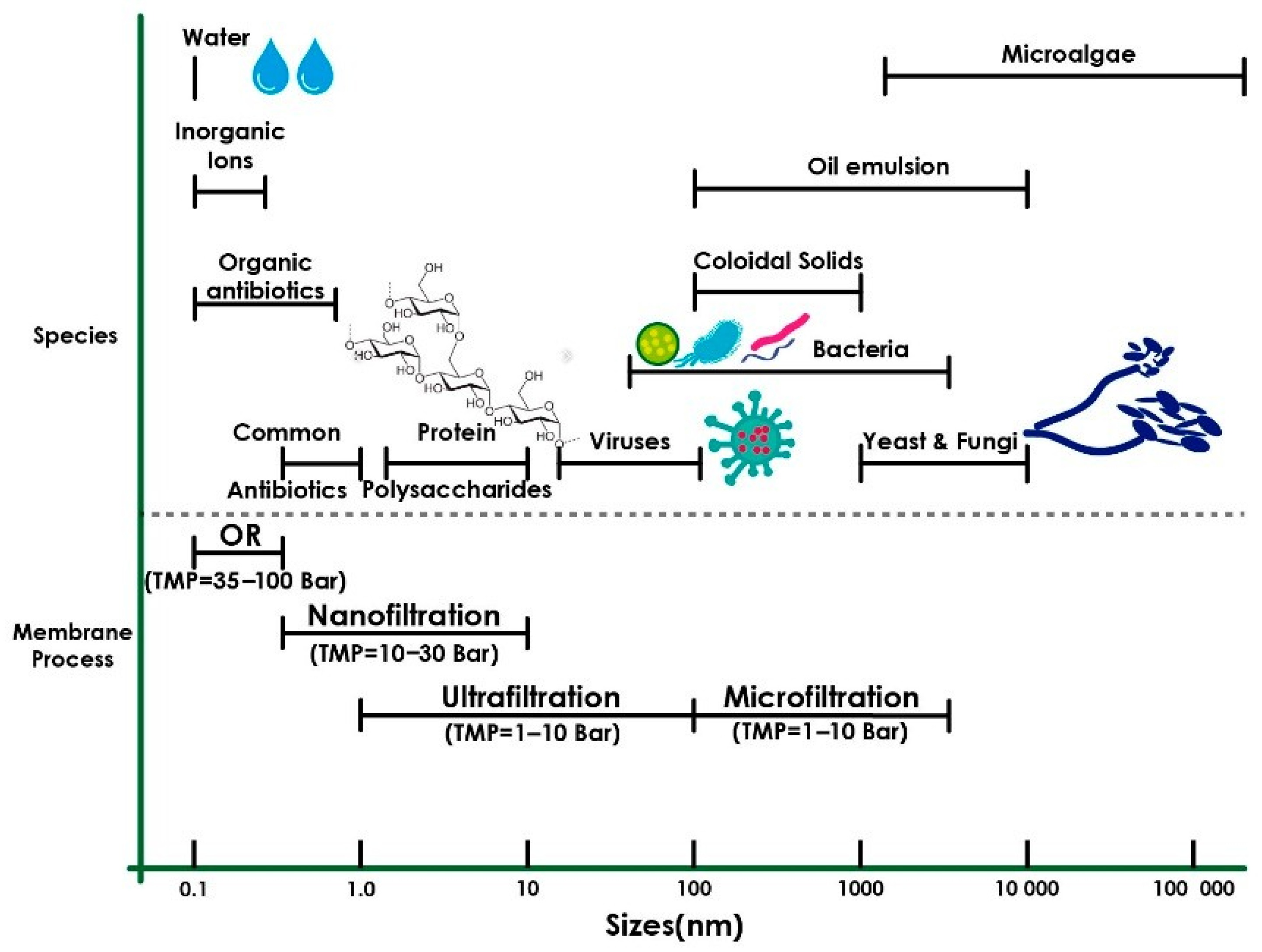 Membranes 15 00210 g012