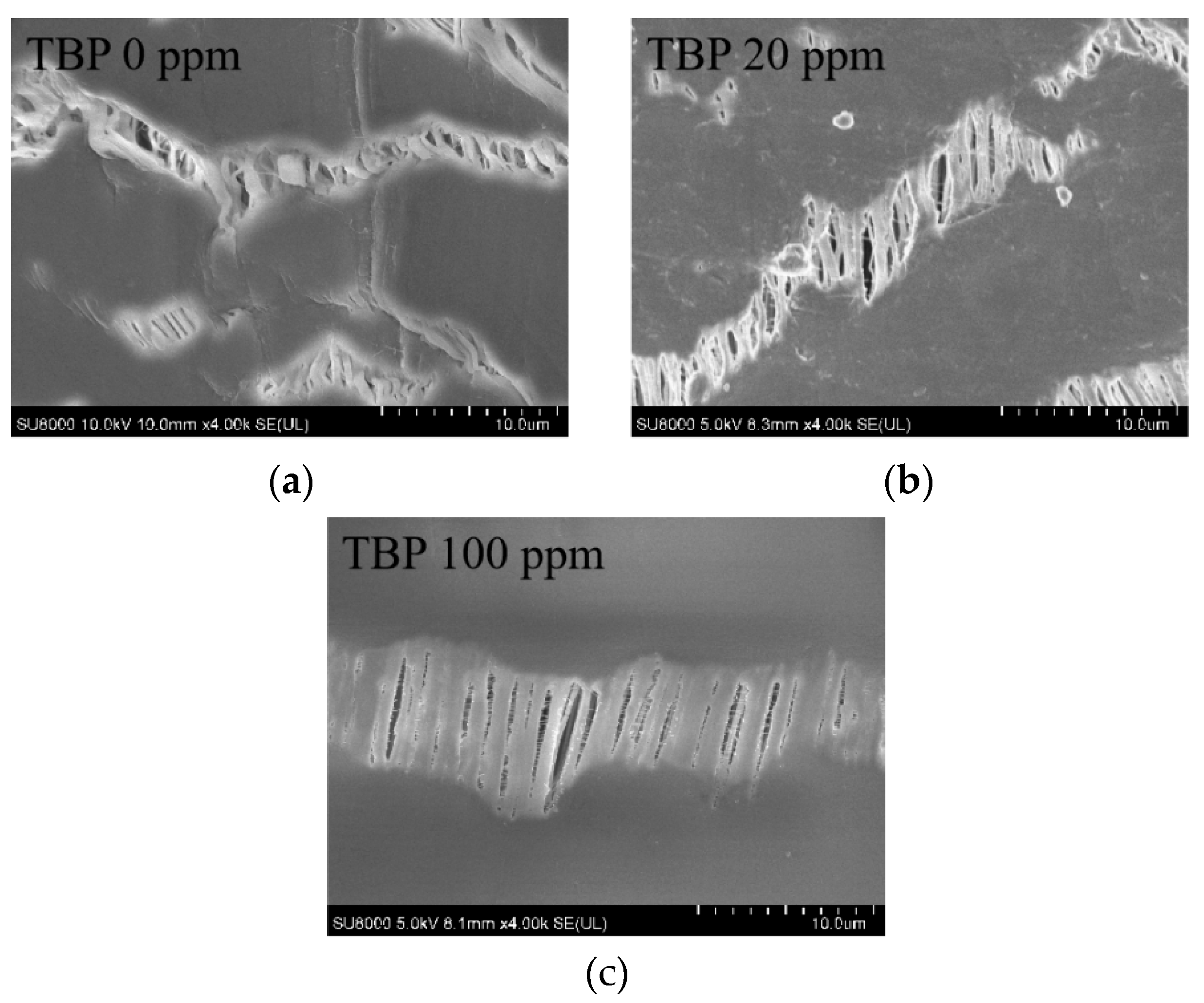 Membranes 15 00213 g008