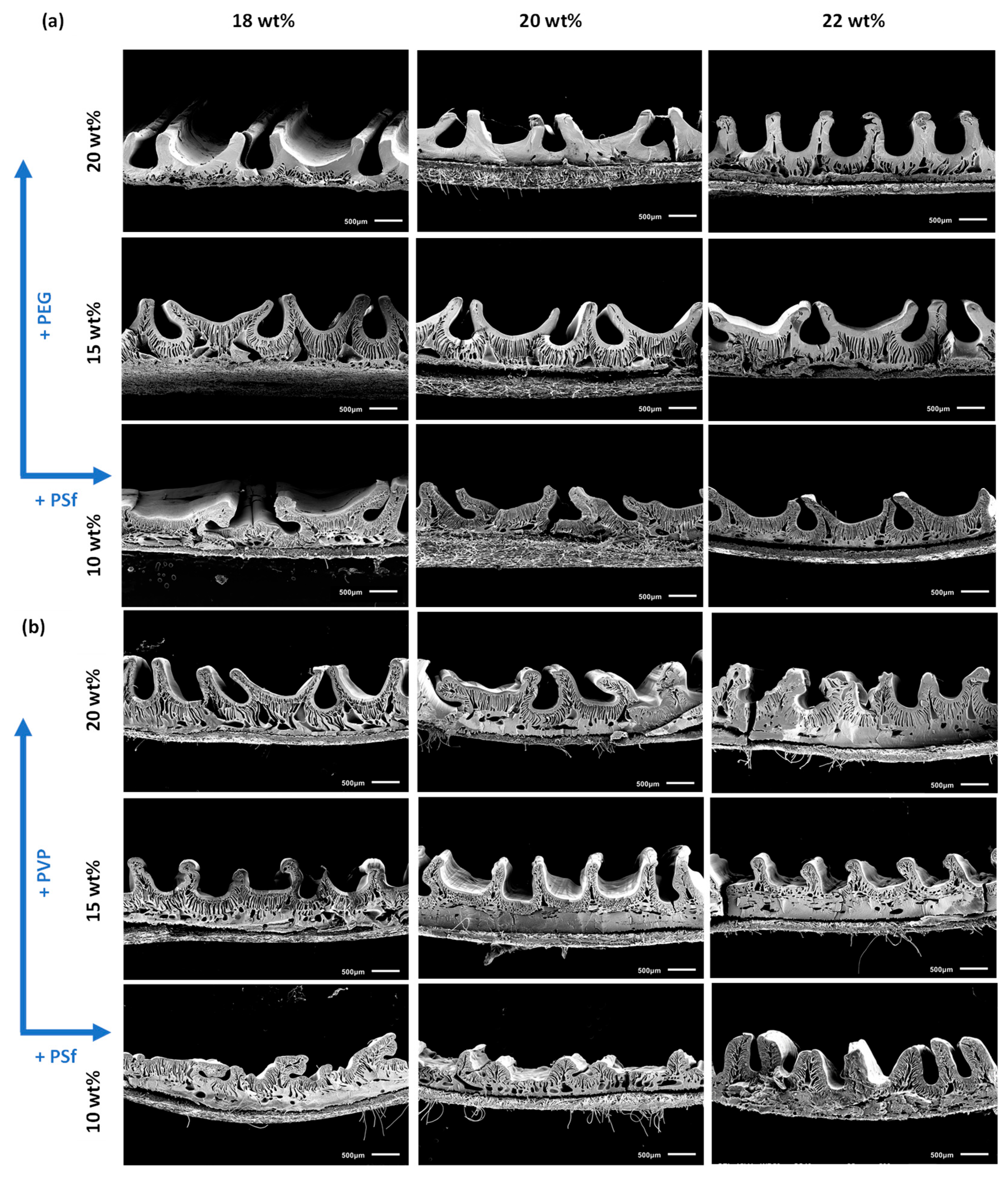 Membranes 15 00228 g006