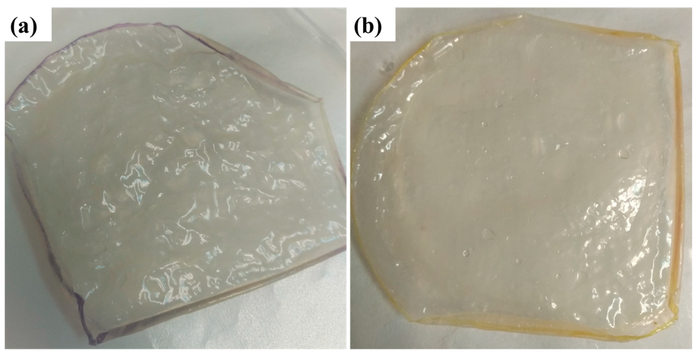 Membranes 15 00229 g003