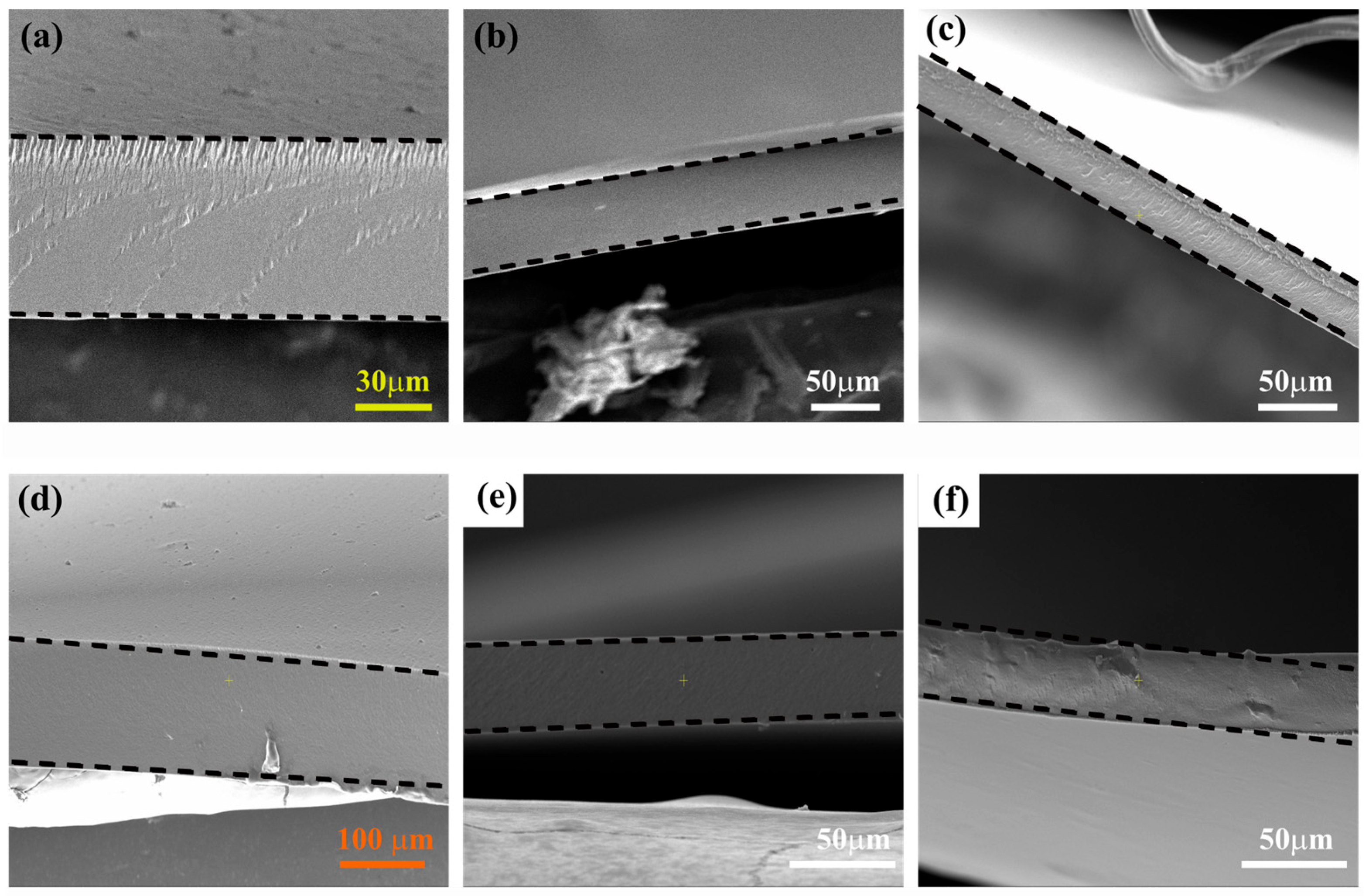 Membranes 15 00229 g004