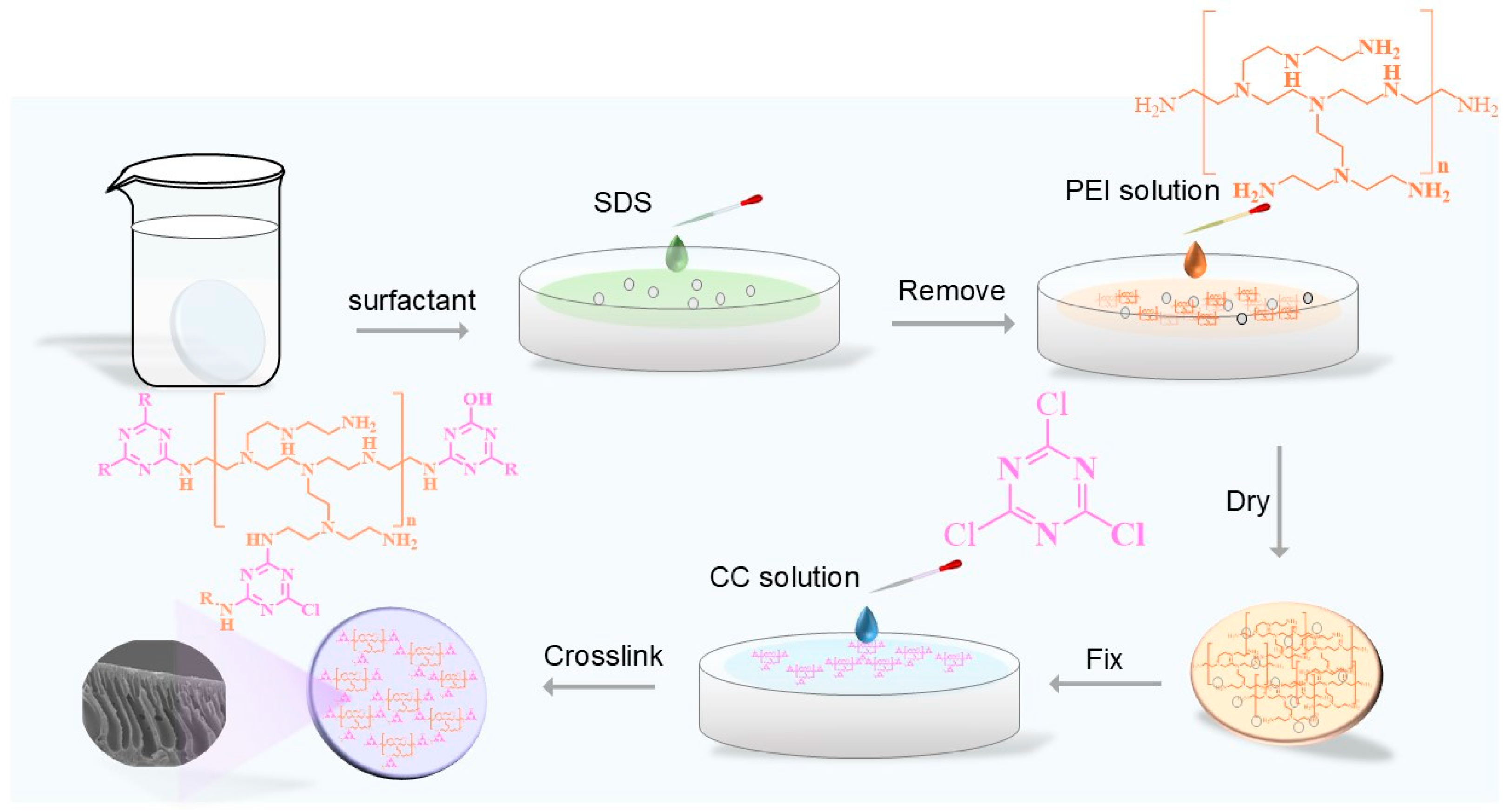 Membranes 15 00231 g001