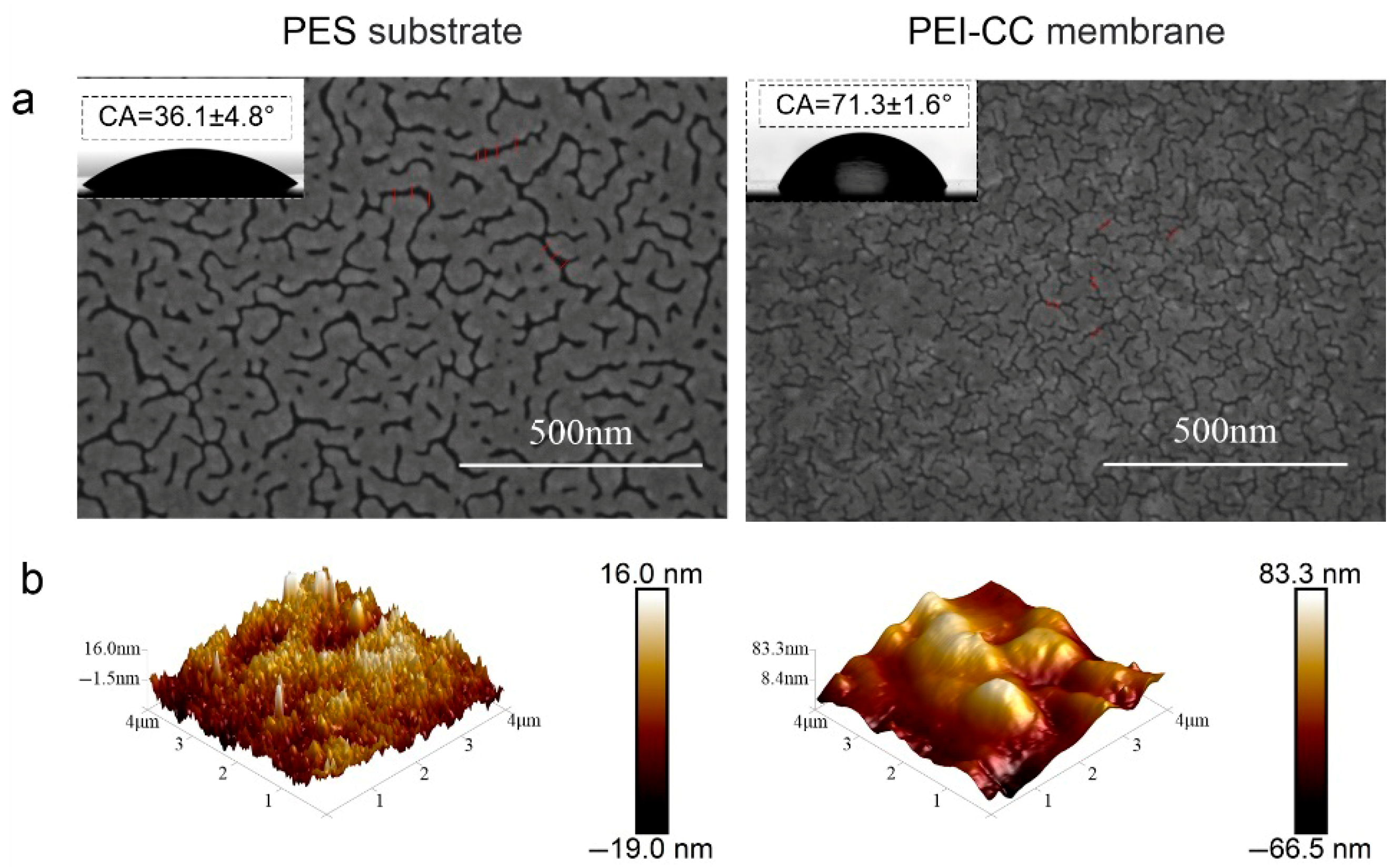 Membranes 15 00231 g005