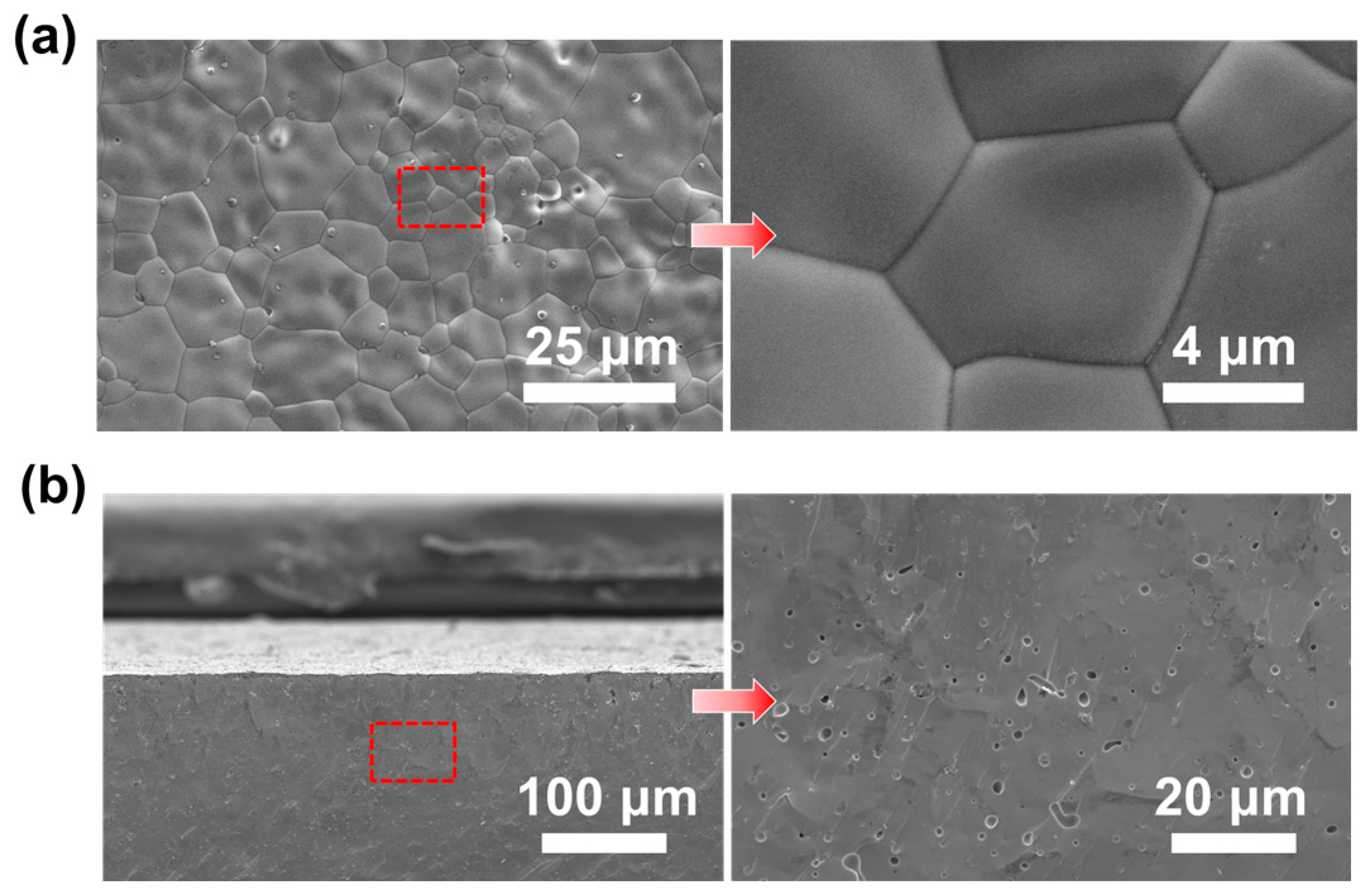 Membranes 15 00232 g005
