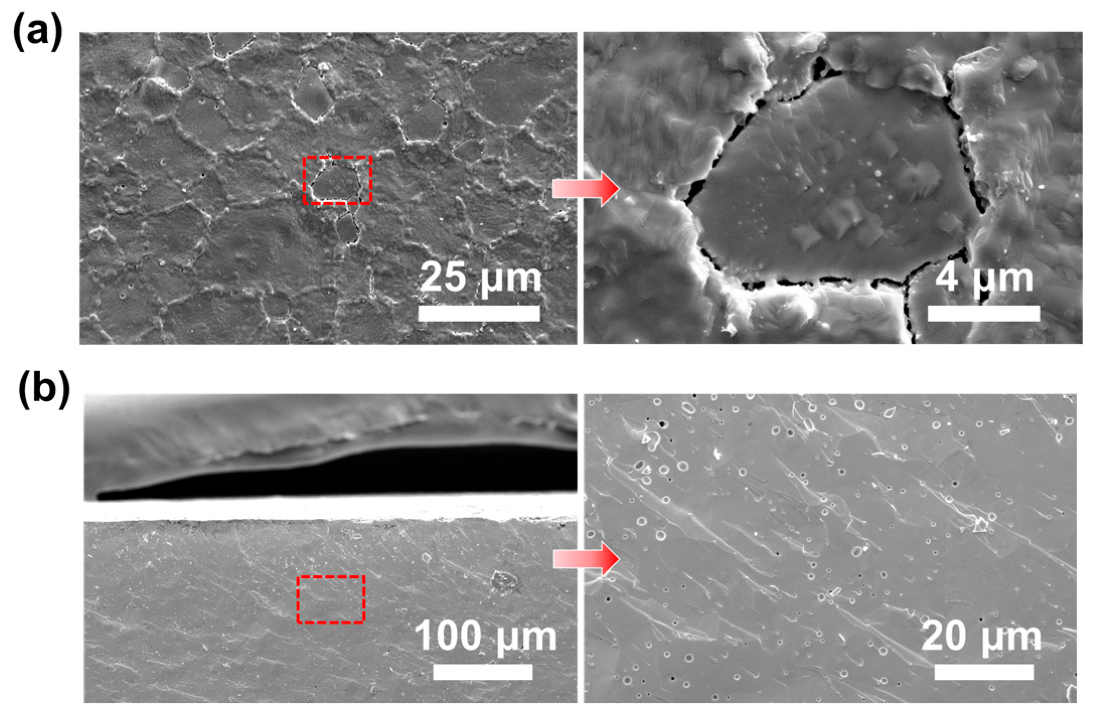 Membranes 15 00232 g012