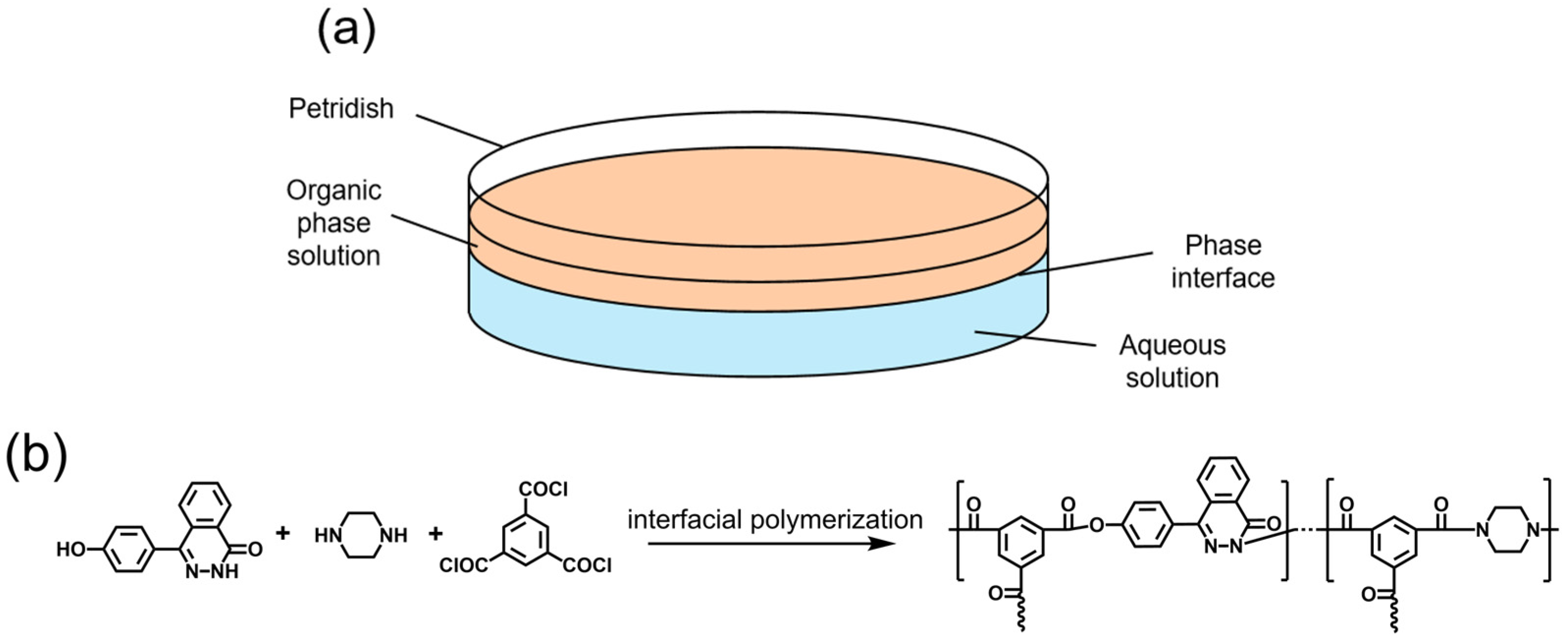 Membranes 15 00233 g001