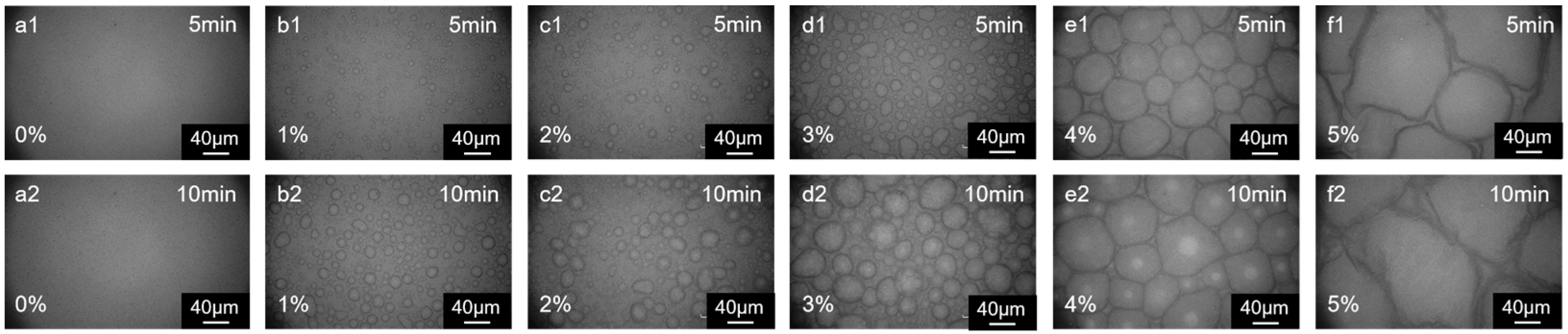 Membranes 15 00233 g007