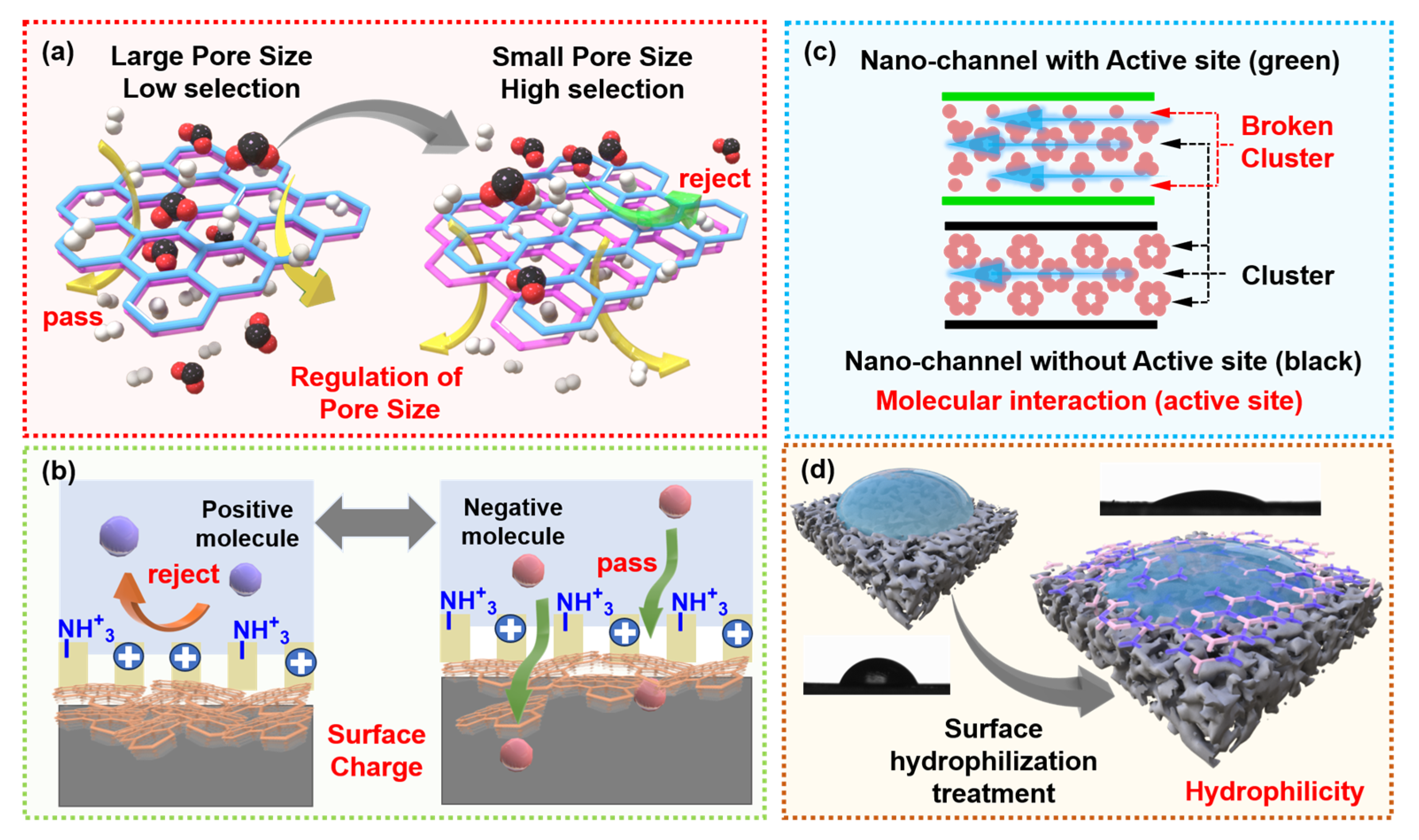 Membranes 15 00236 g002