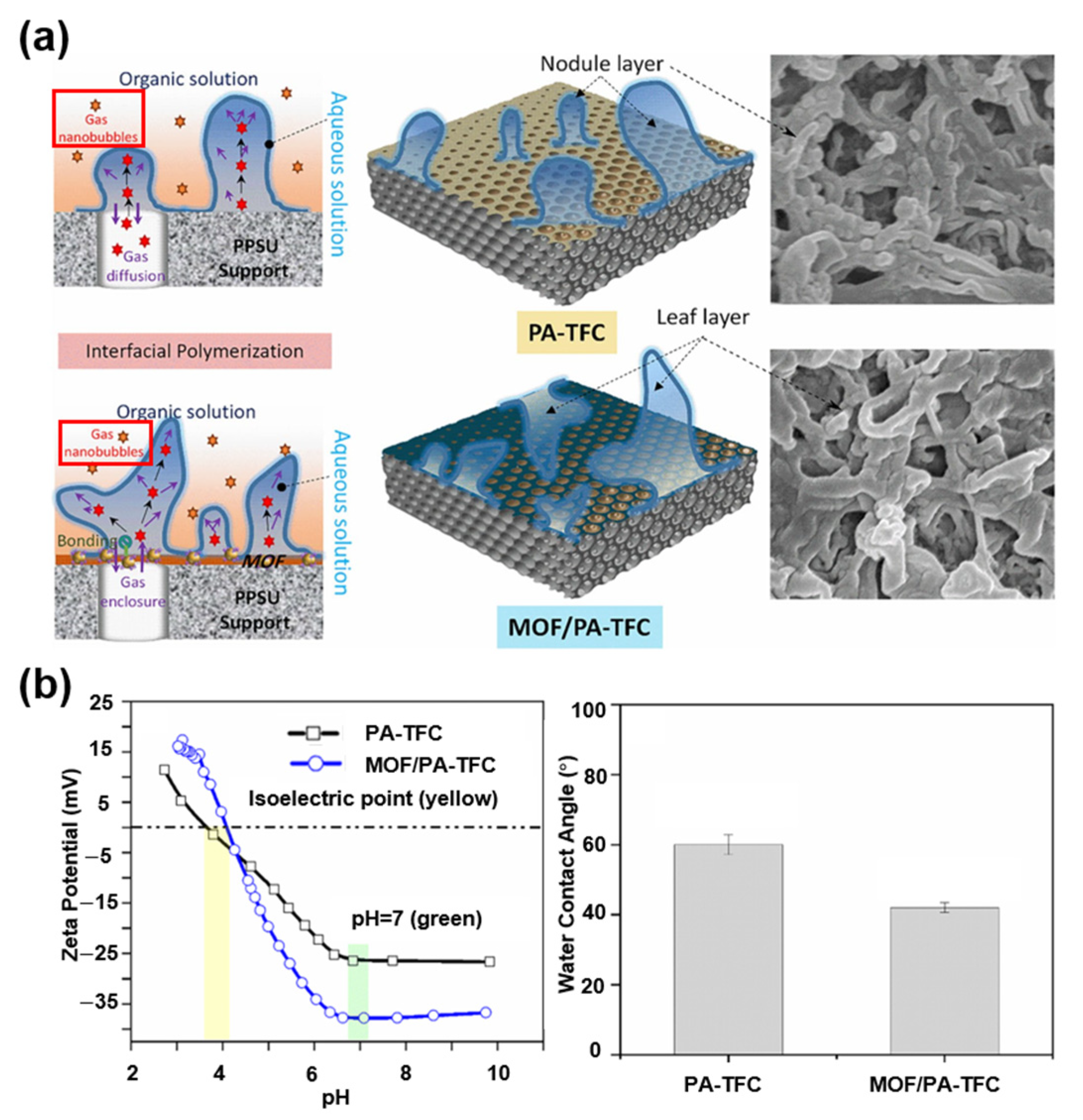 Membranes 15 00236 g006