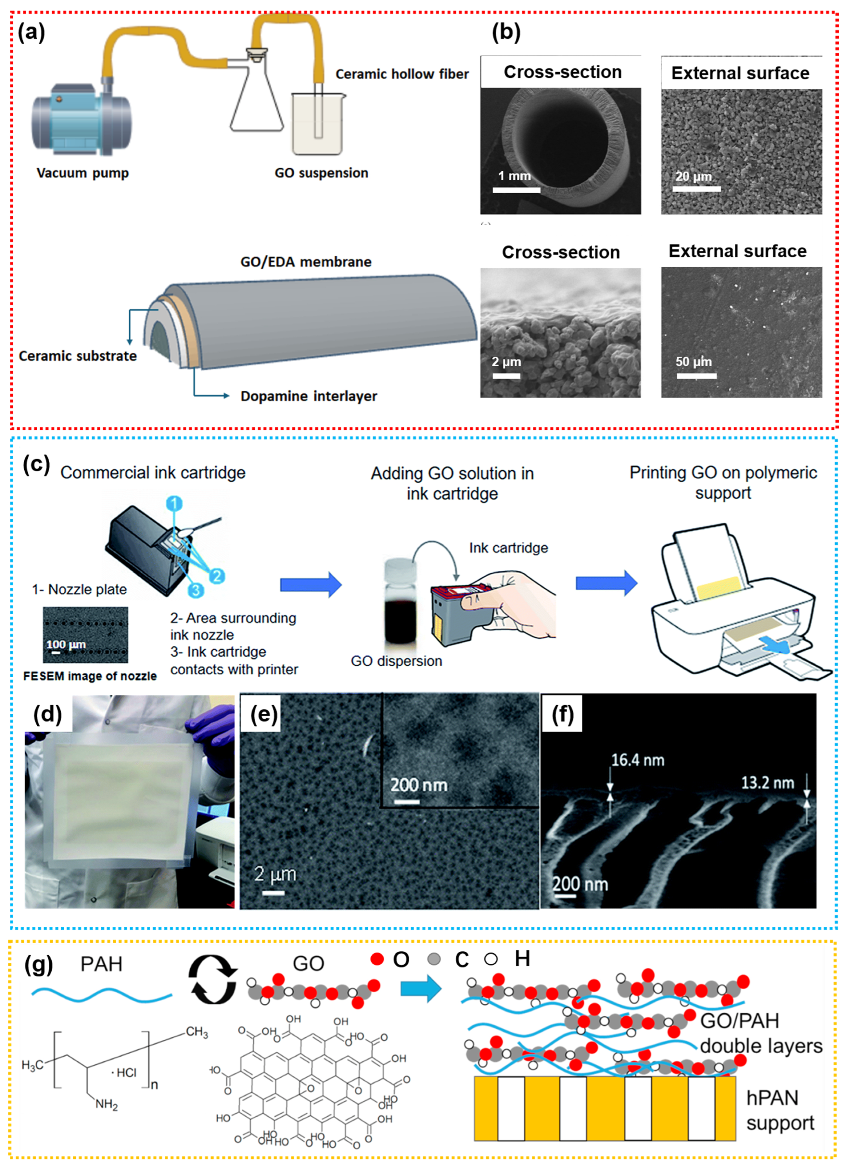 Membranes 15 00236 g008