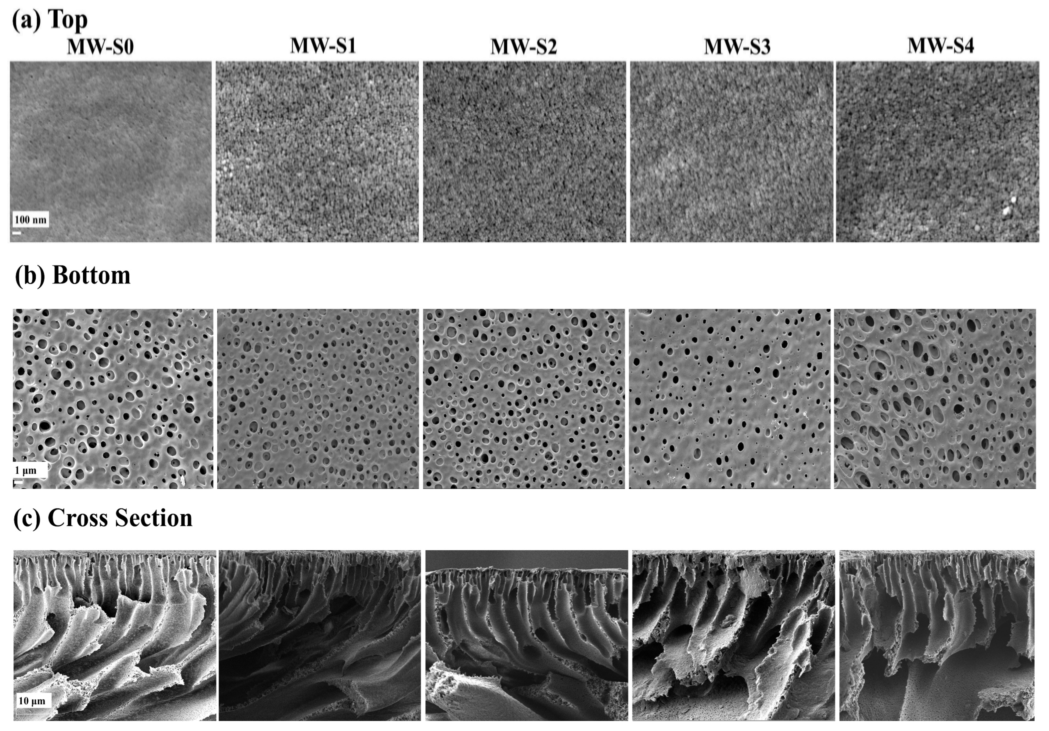 Membranes 15 00240 g007