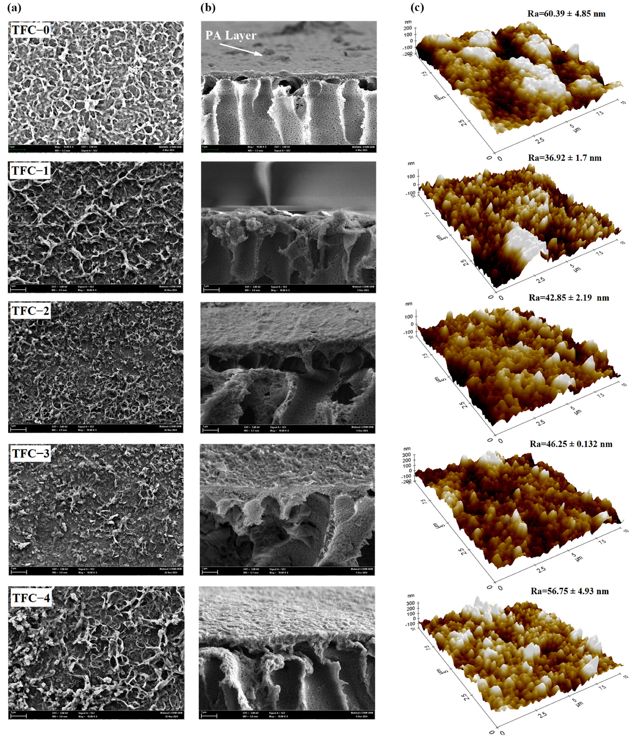 Membranes 15 00240 g009