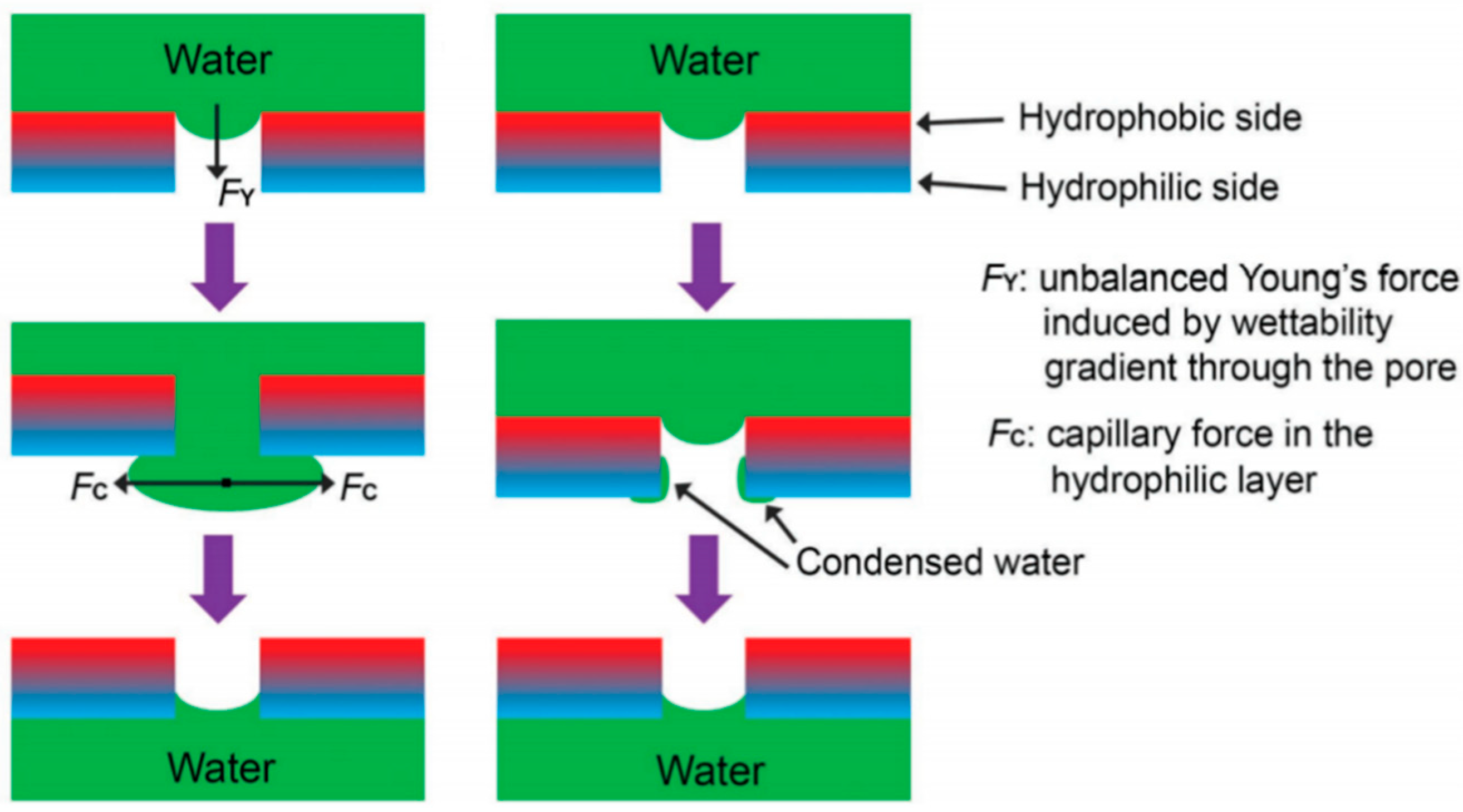 Membranes 15 00241 g003 Membranes 15 00241 g003