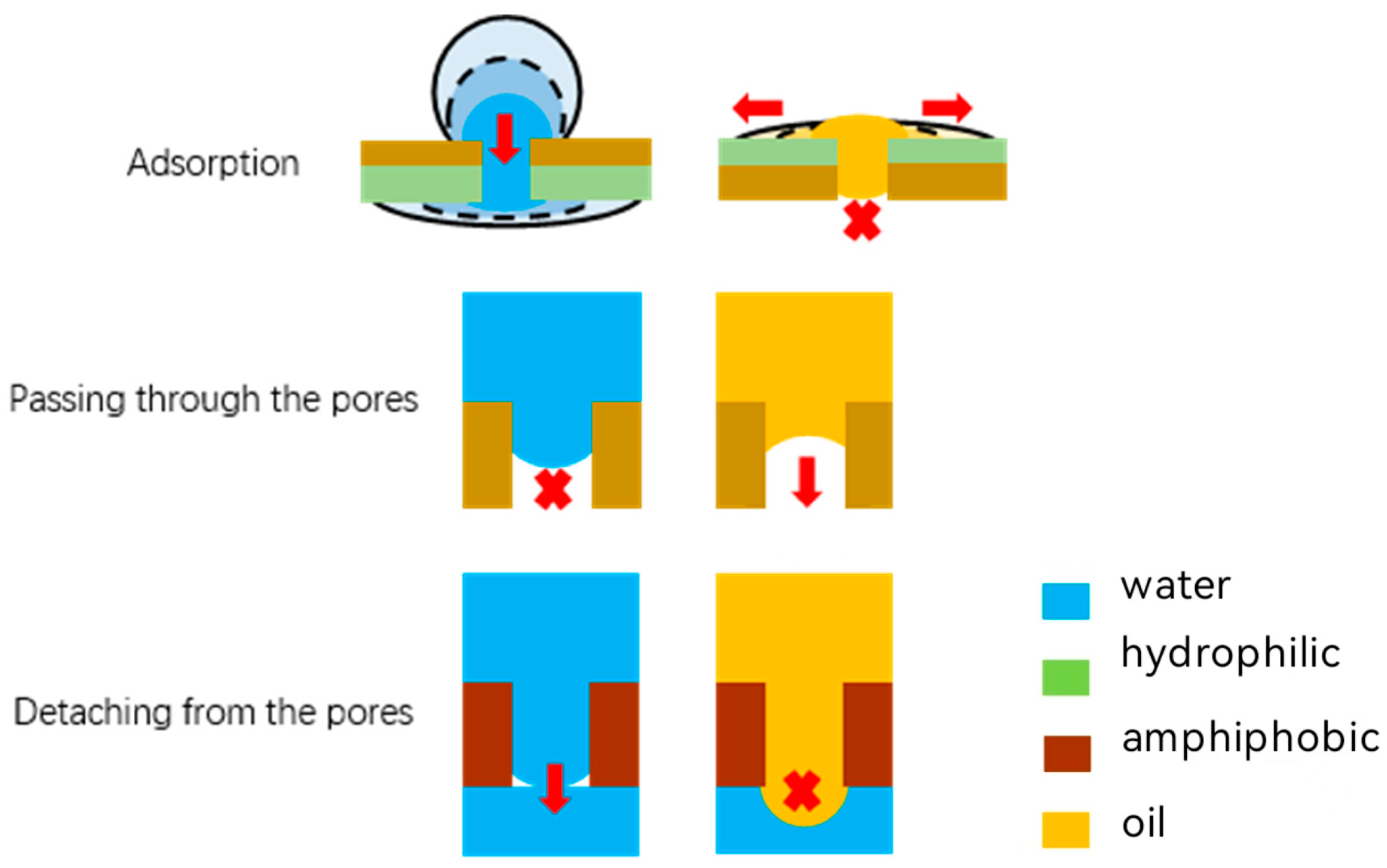 Membranes 15 00241 g009 Membranes 15 00241 g009