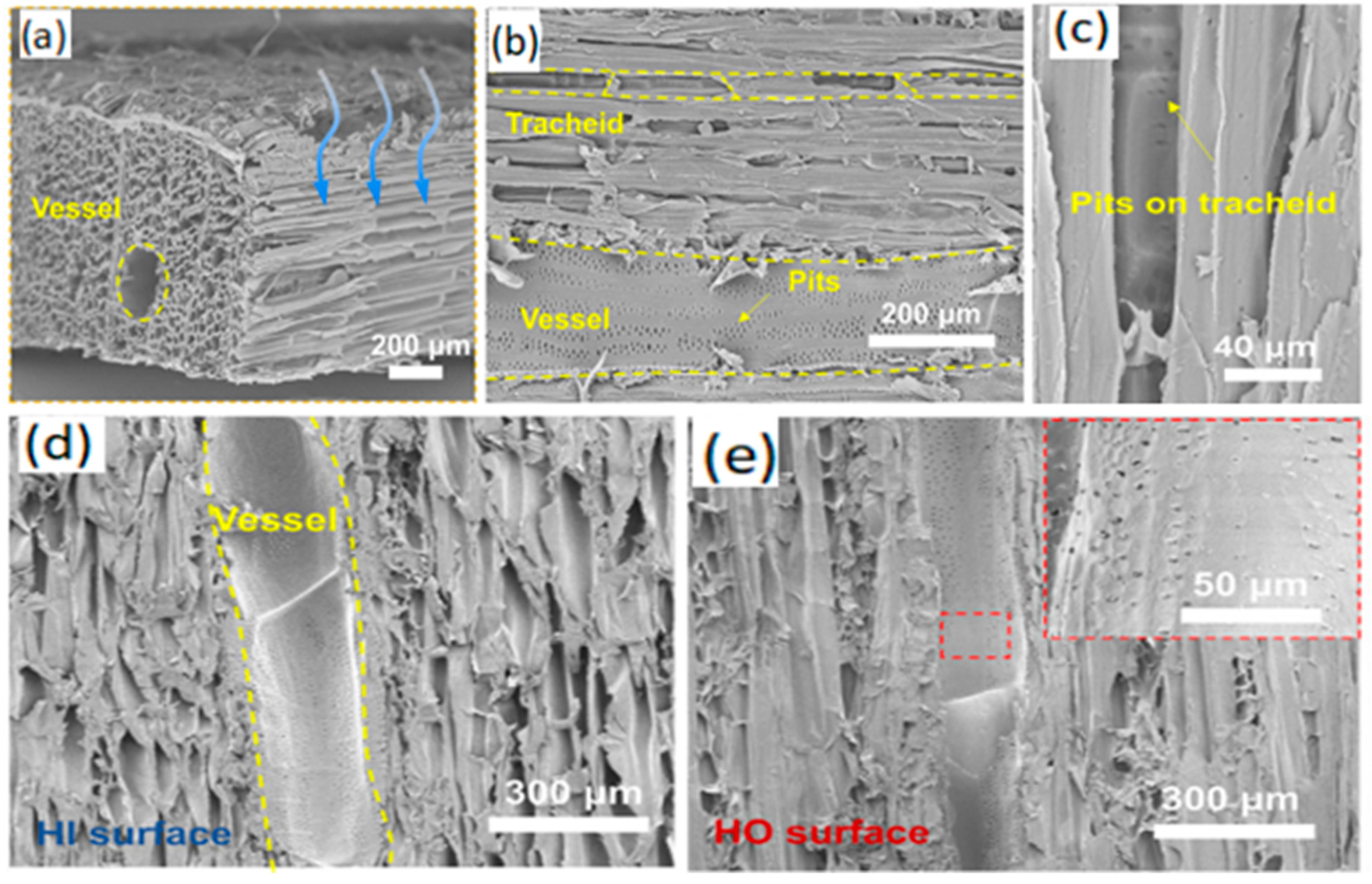 Membranes 15 00241 g011 Membranes 15 00241 g011