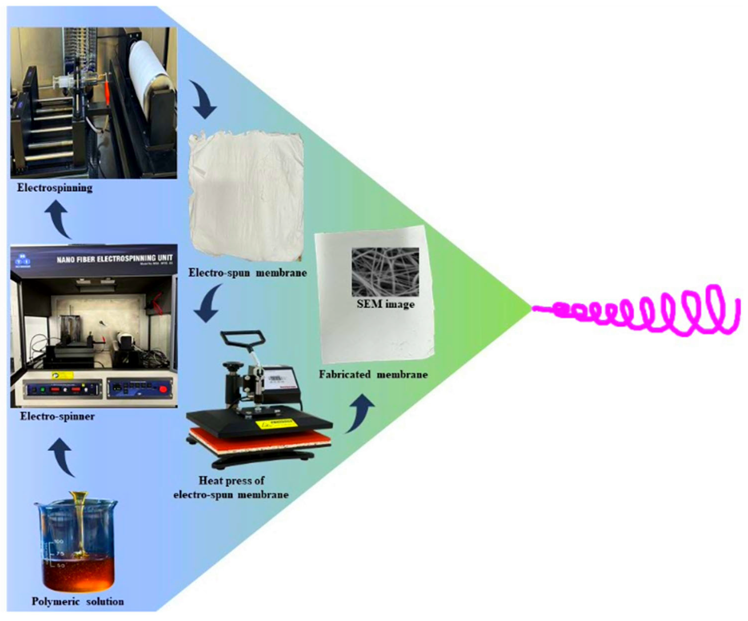Membranes 15 00244 g001 Membranes 15 00244 g001
