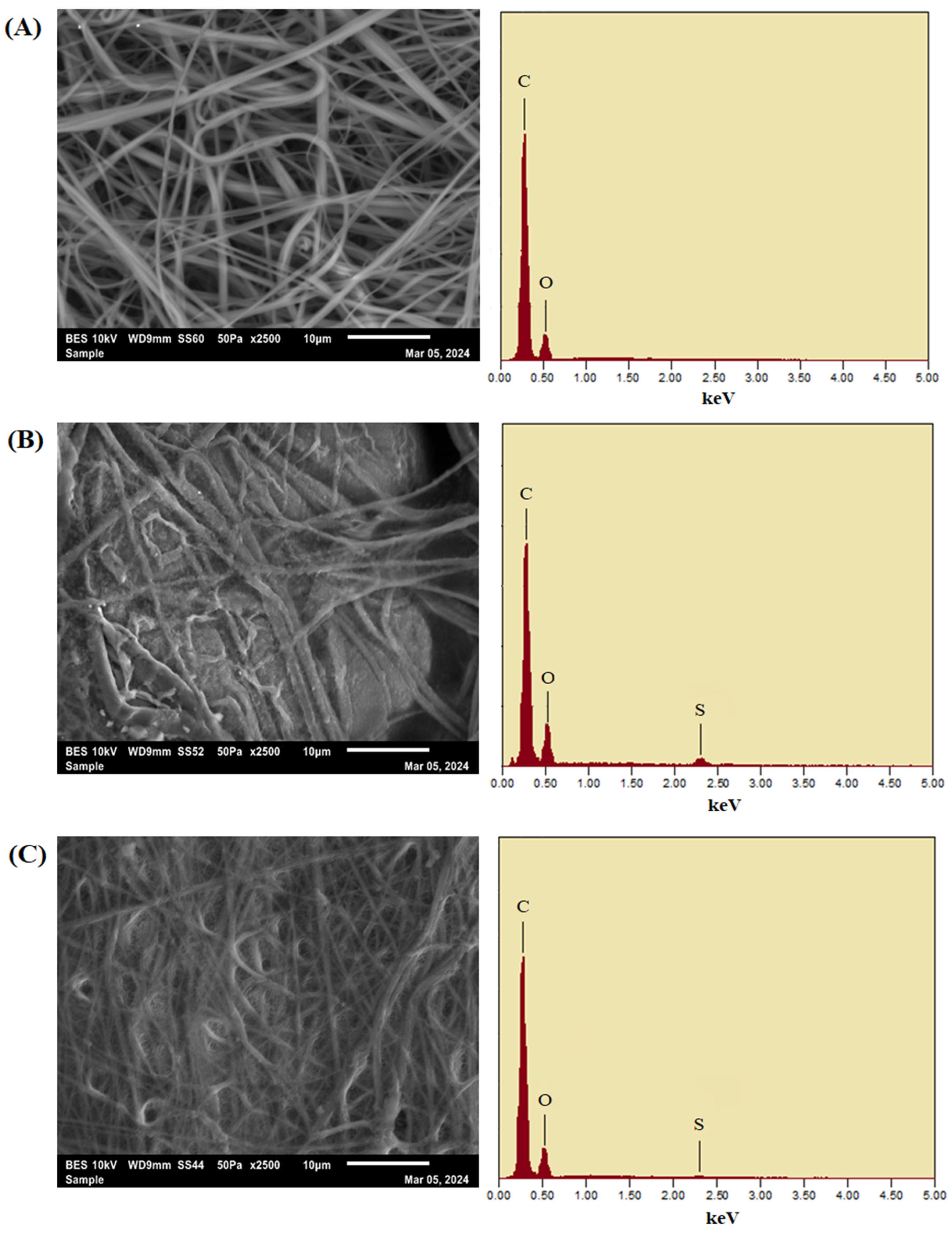 Membranes 15 00244 g005 Membranes 15 00244 g005