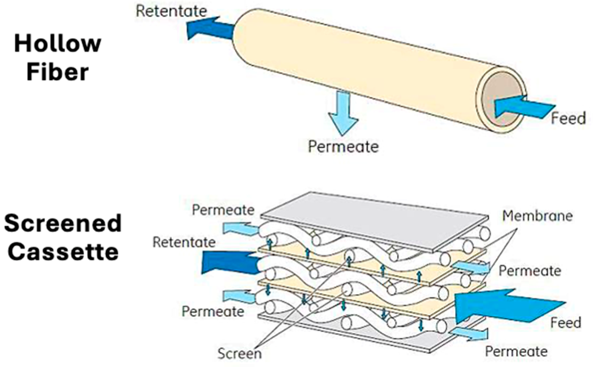 Membranes 15 00245 g001