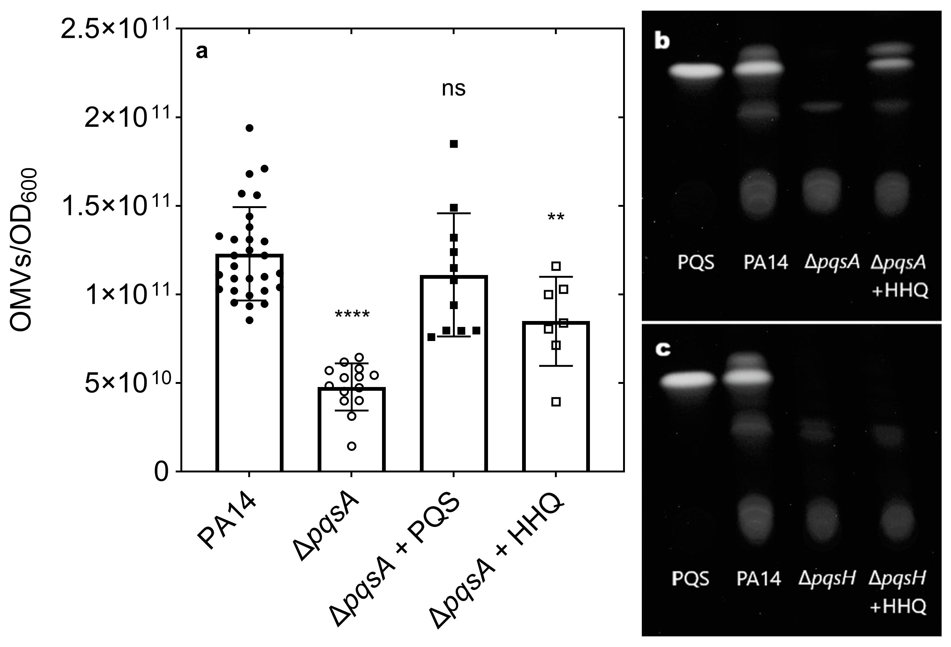 Membranes 15 00247 g002 Membranes 15 00247 g002
