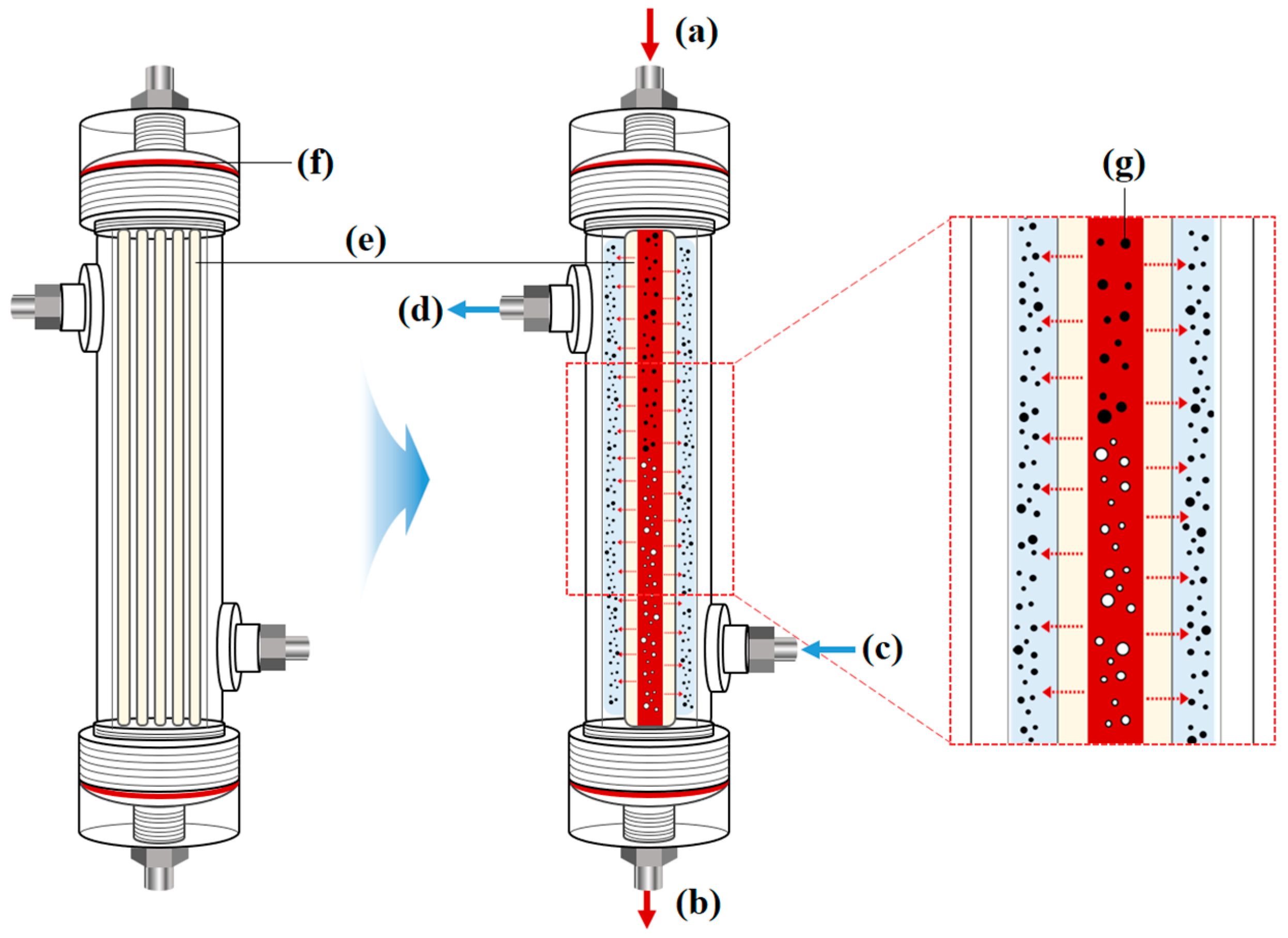 Membranes 15 00251 g002 Membranes 15 00251 g002