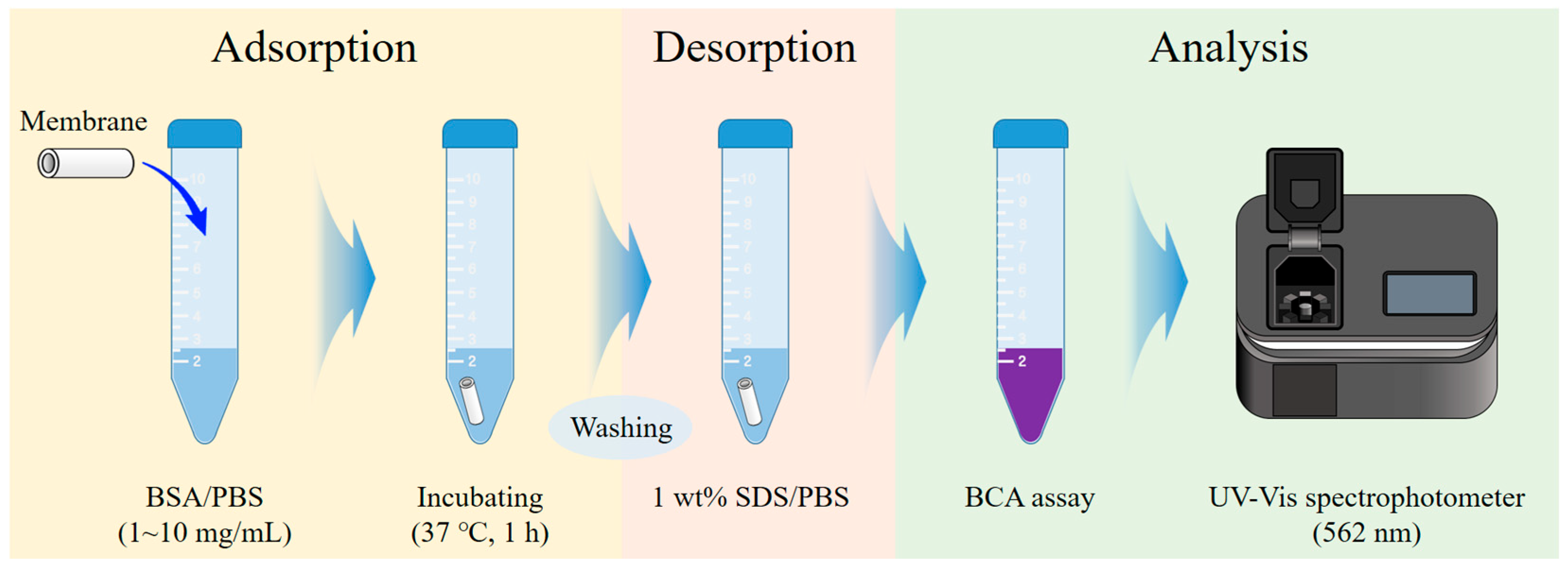 Membranes 15 00251 g003 Membranes 15 00251 g003
