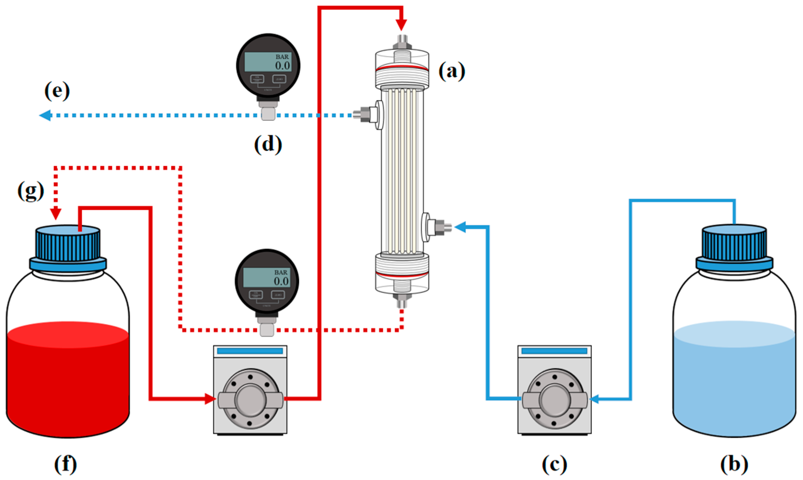 Membranes 15 00251 g005 Membranes 15 00251 g005