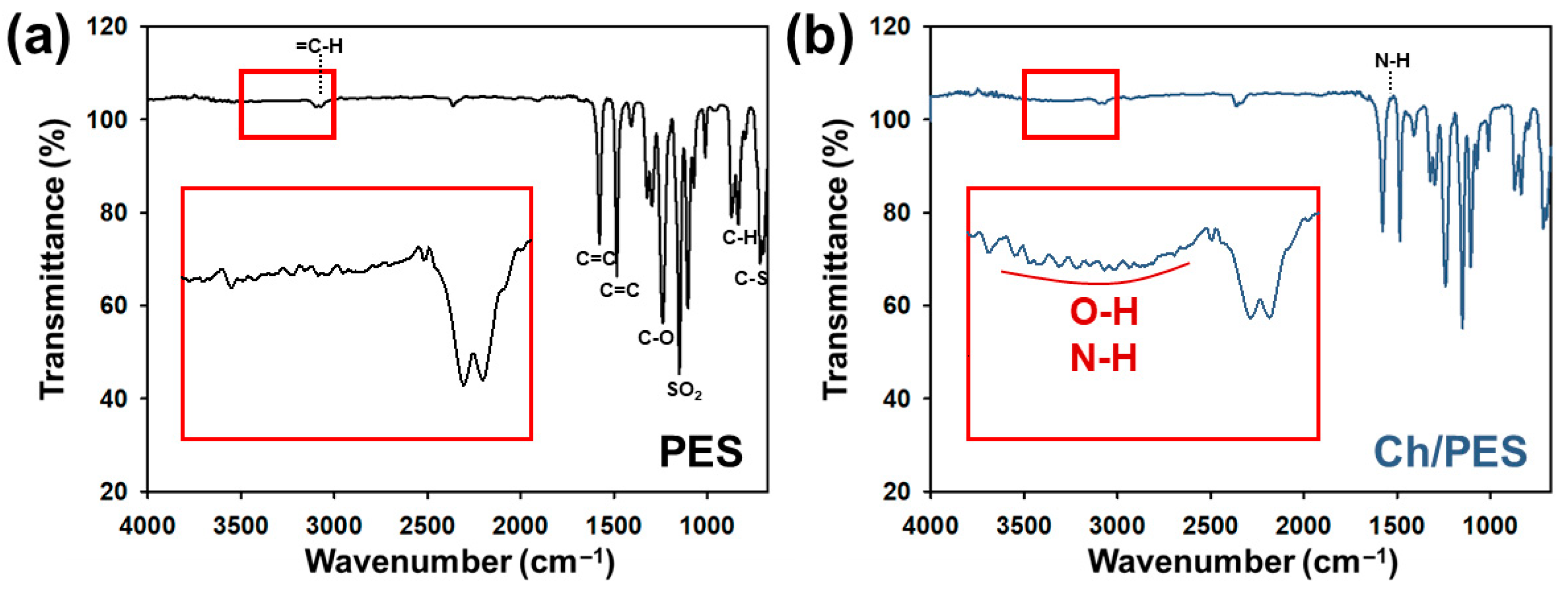 Membranes 15 00252 g002 Membranes 15 00252 g002