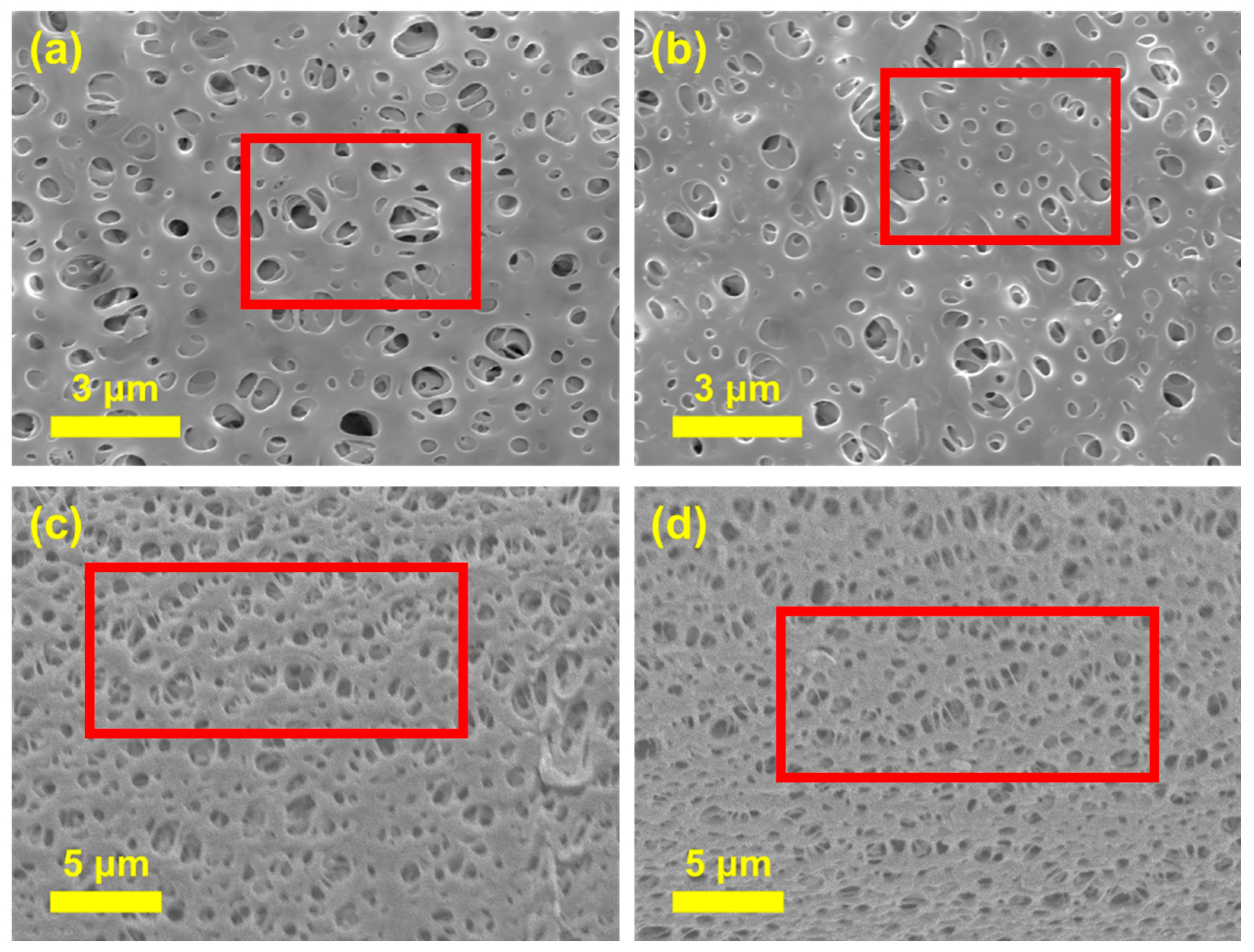 Membranes 15 00252 g004 Membranes 15 00252 g004