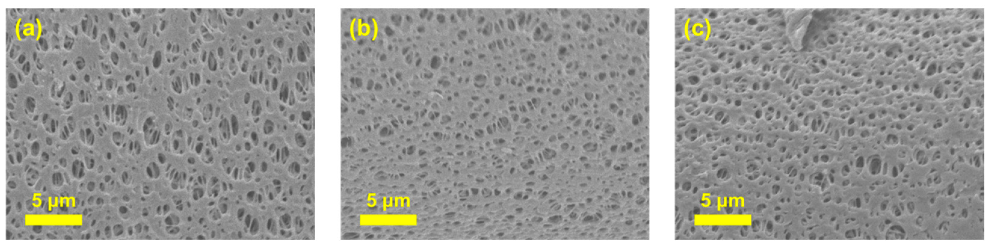 Membranes 15 00252 g005 Membranes 15 00252 g005