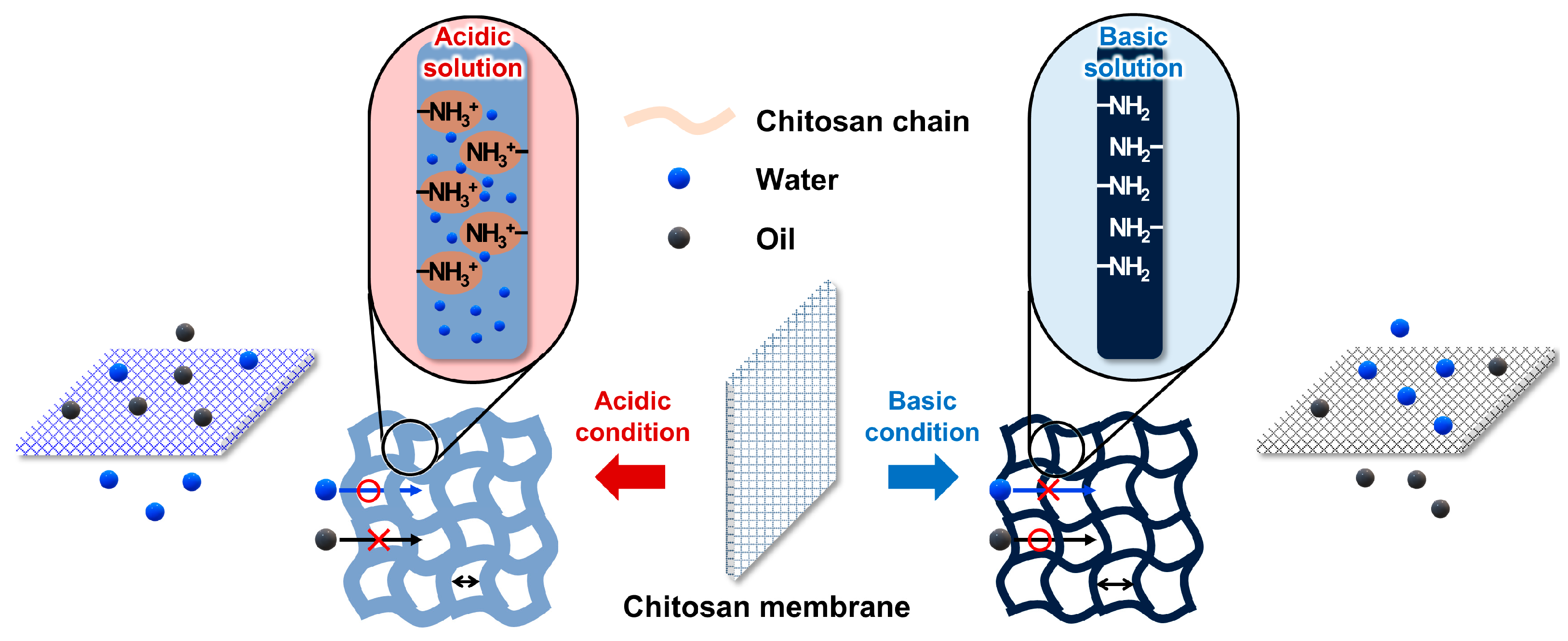 Membranes 15 00252 g010 Membranes 15 00252 g010