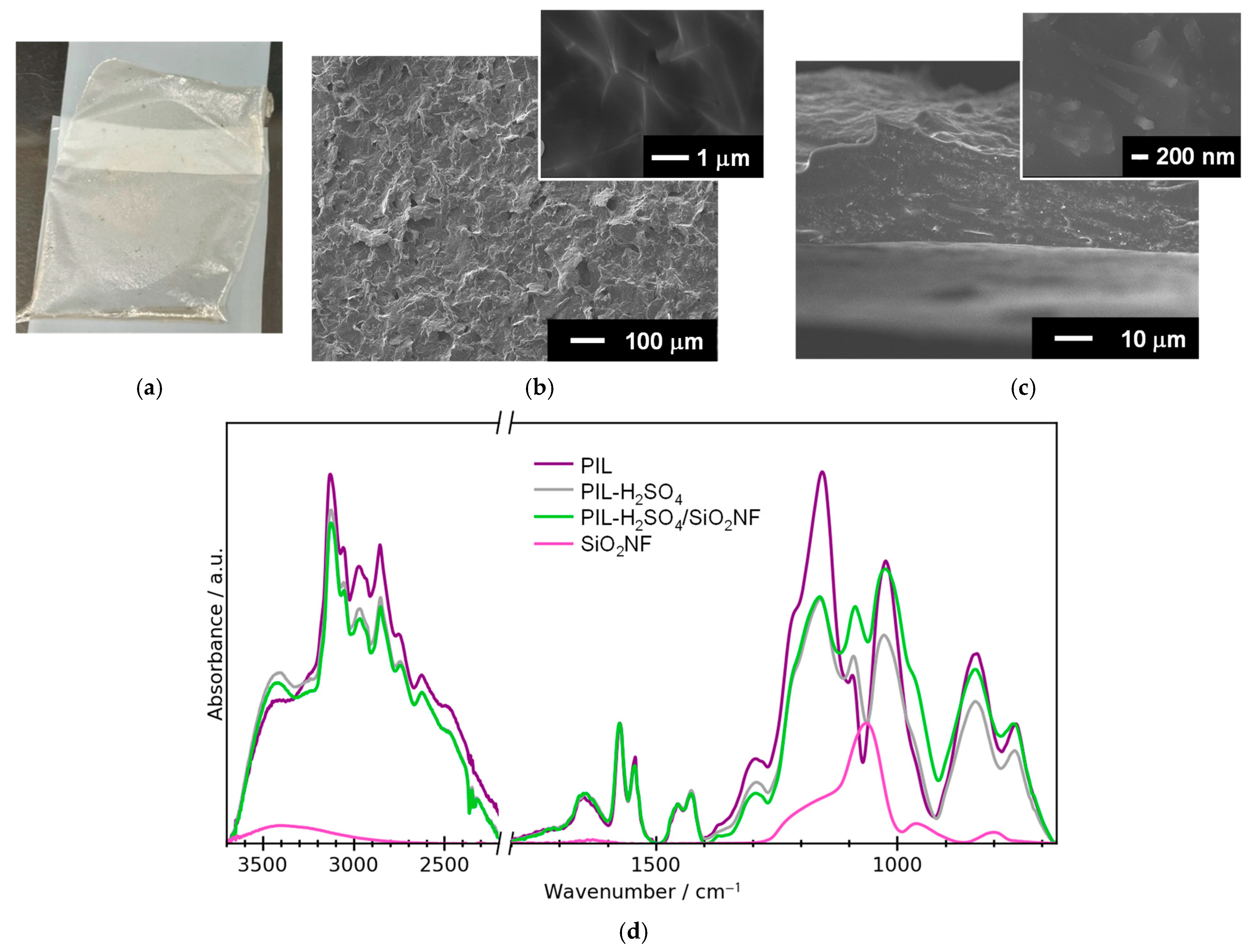Membranes 15 00254 g003