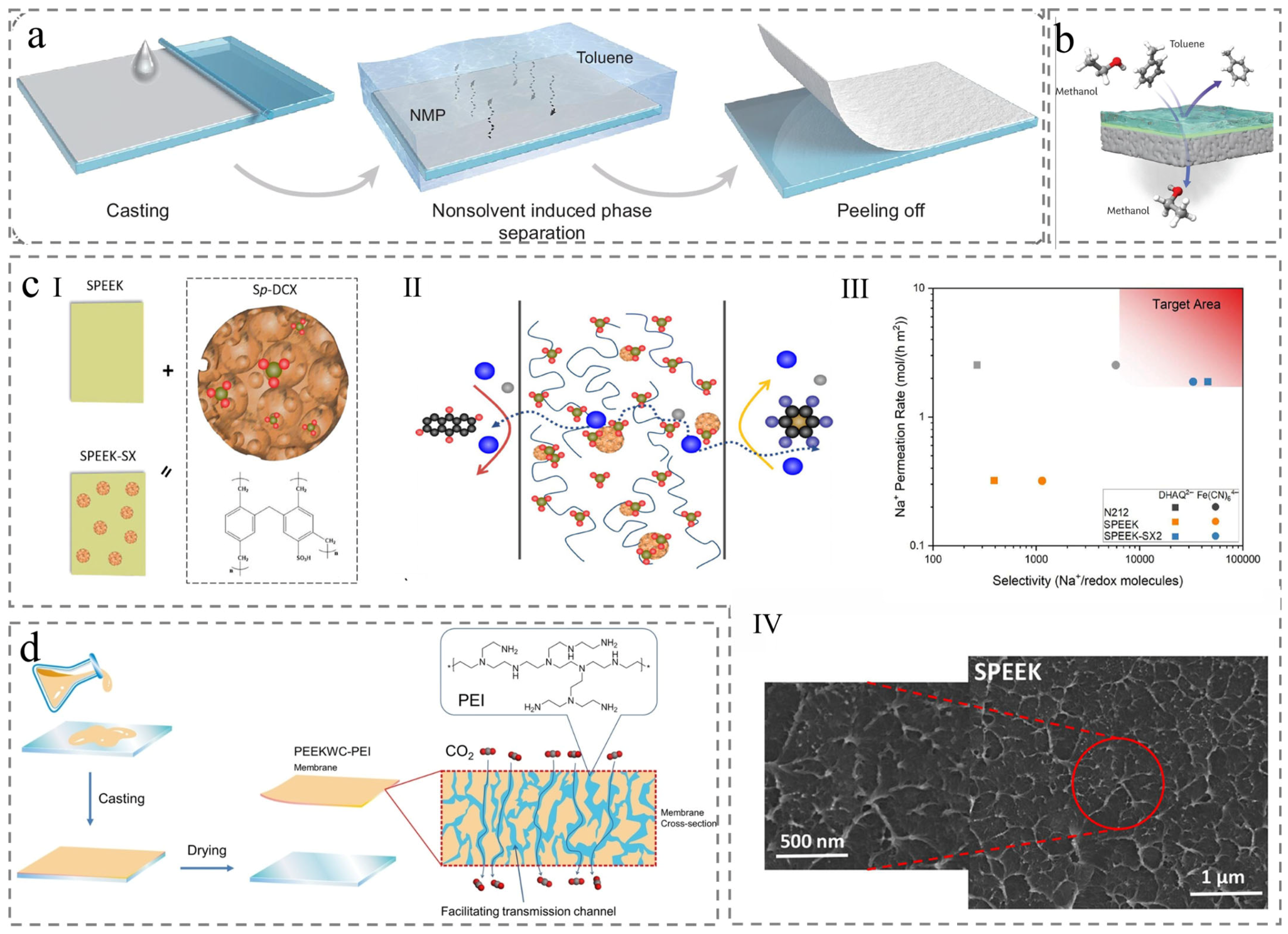 Membranes 15 00256 g002