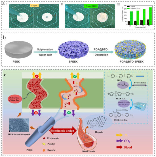 Recent Progress on the Development of Polyetheretherketone