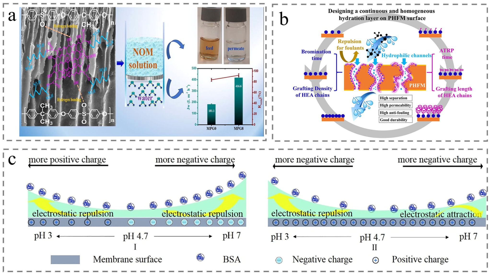 Membranes 15 00256 g010