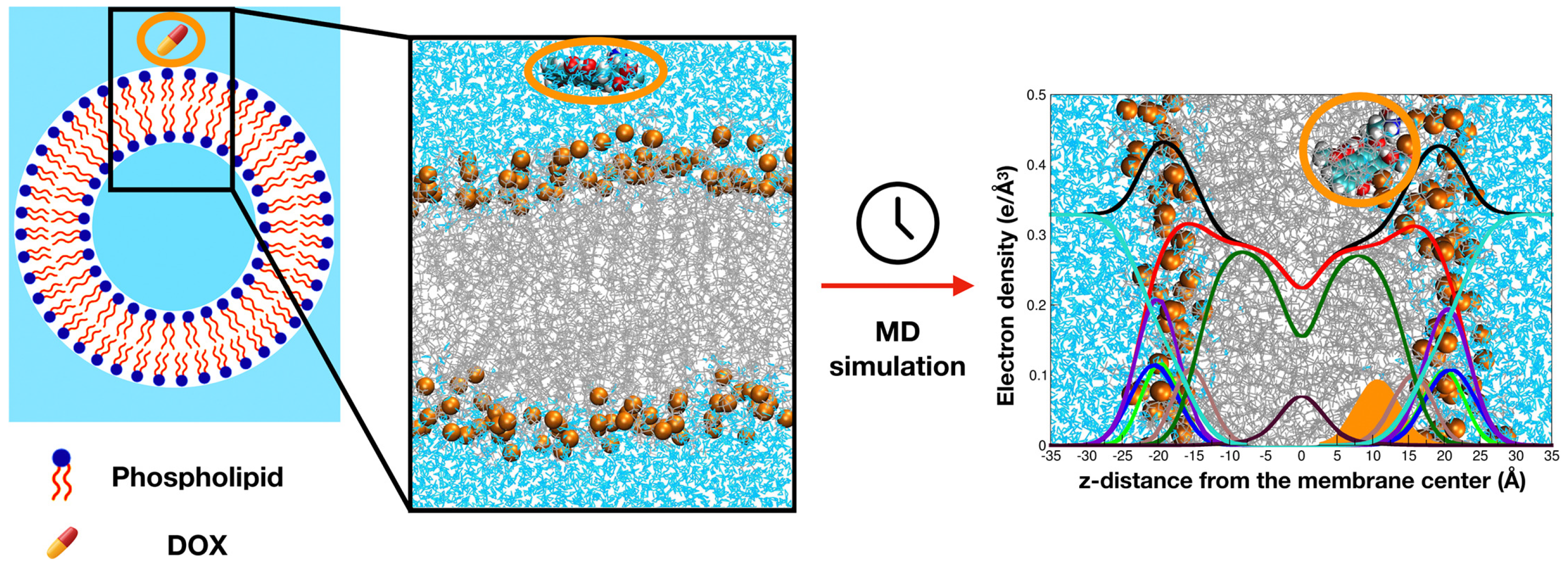 Membranes 15 00259 g002