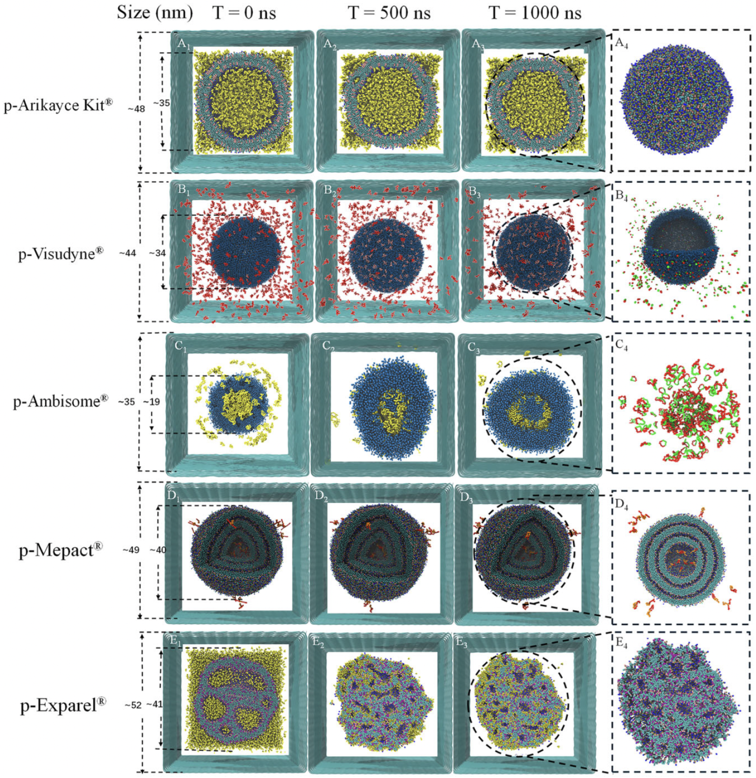 Membranes 15 00259 g006