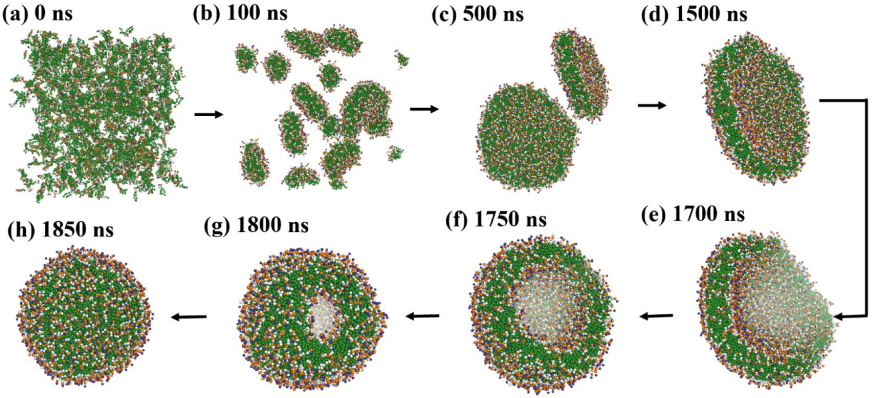 Membranes 15 00259 g009