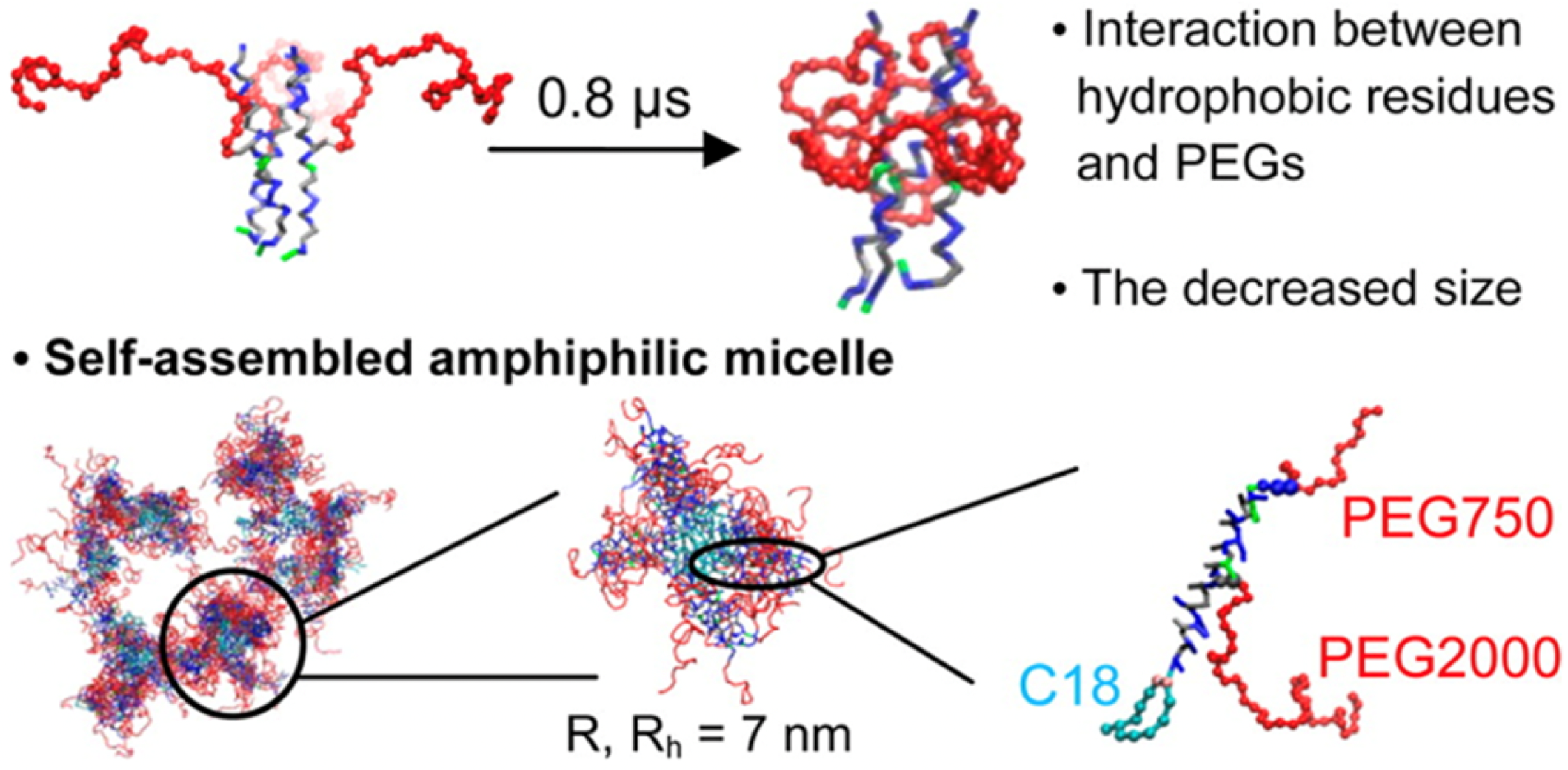 Membranes 15 00259 g011