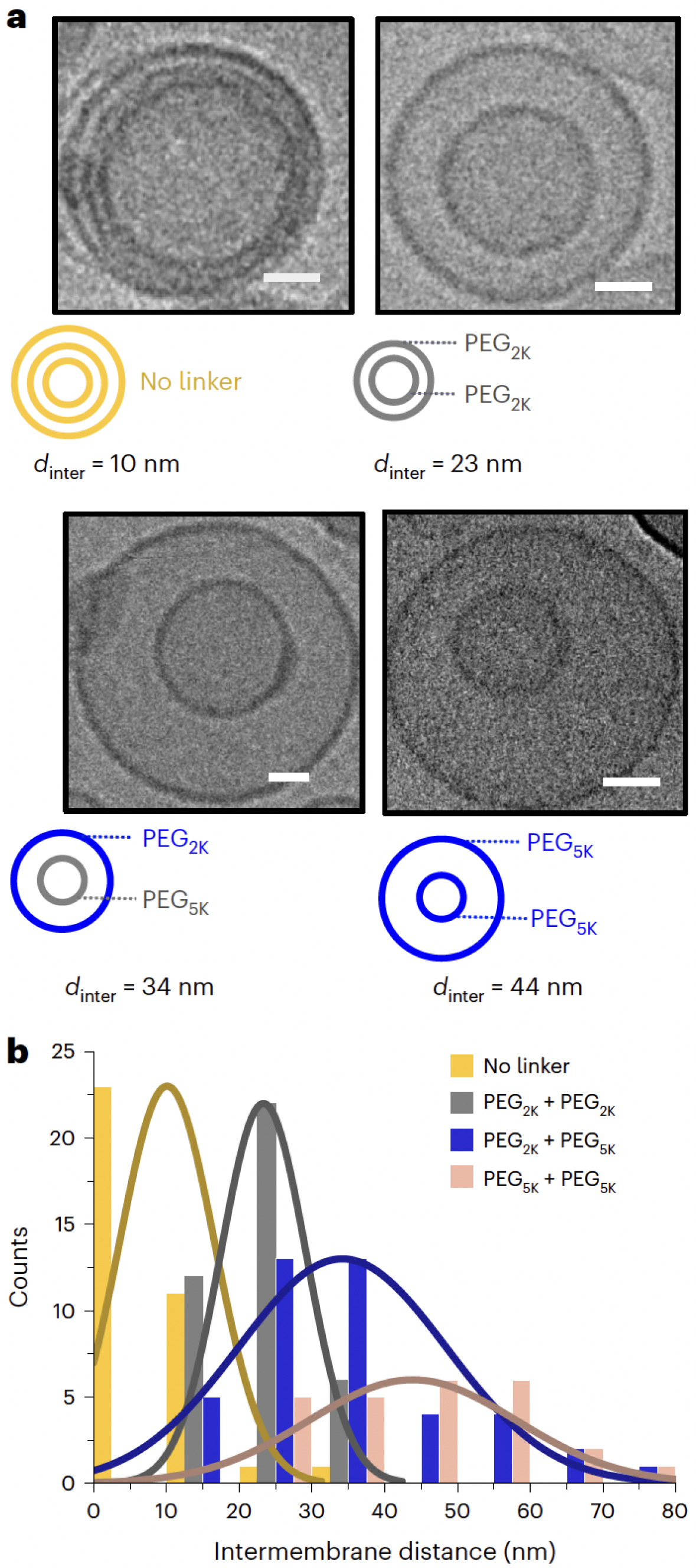 Membranes 15 00259 g014