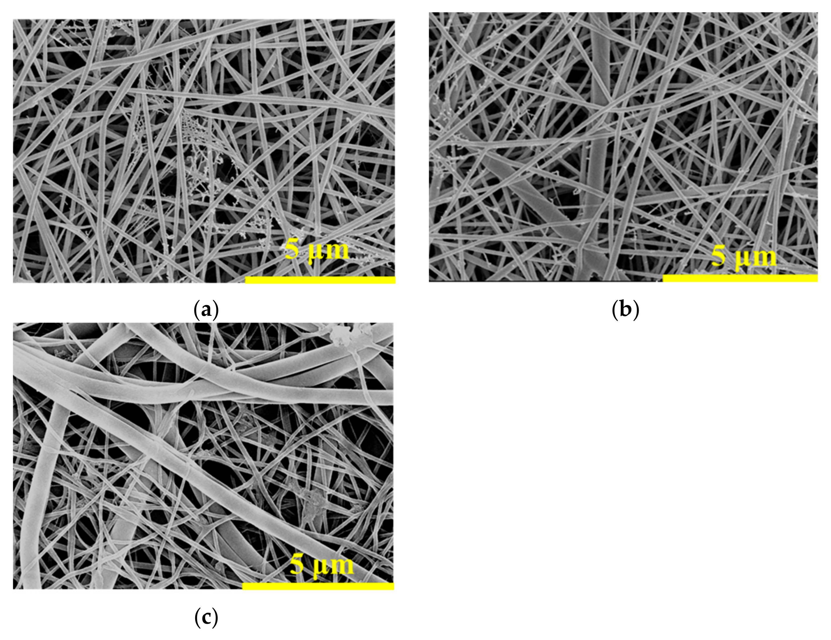 Membranes 15 00262 g001