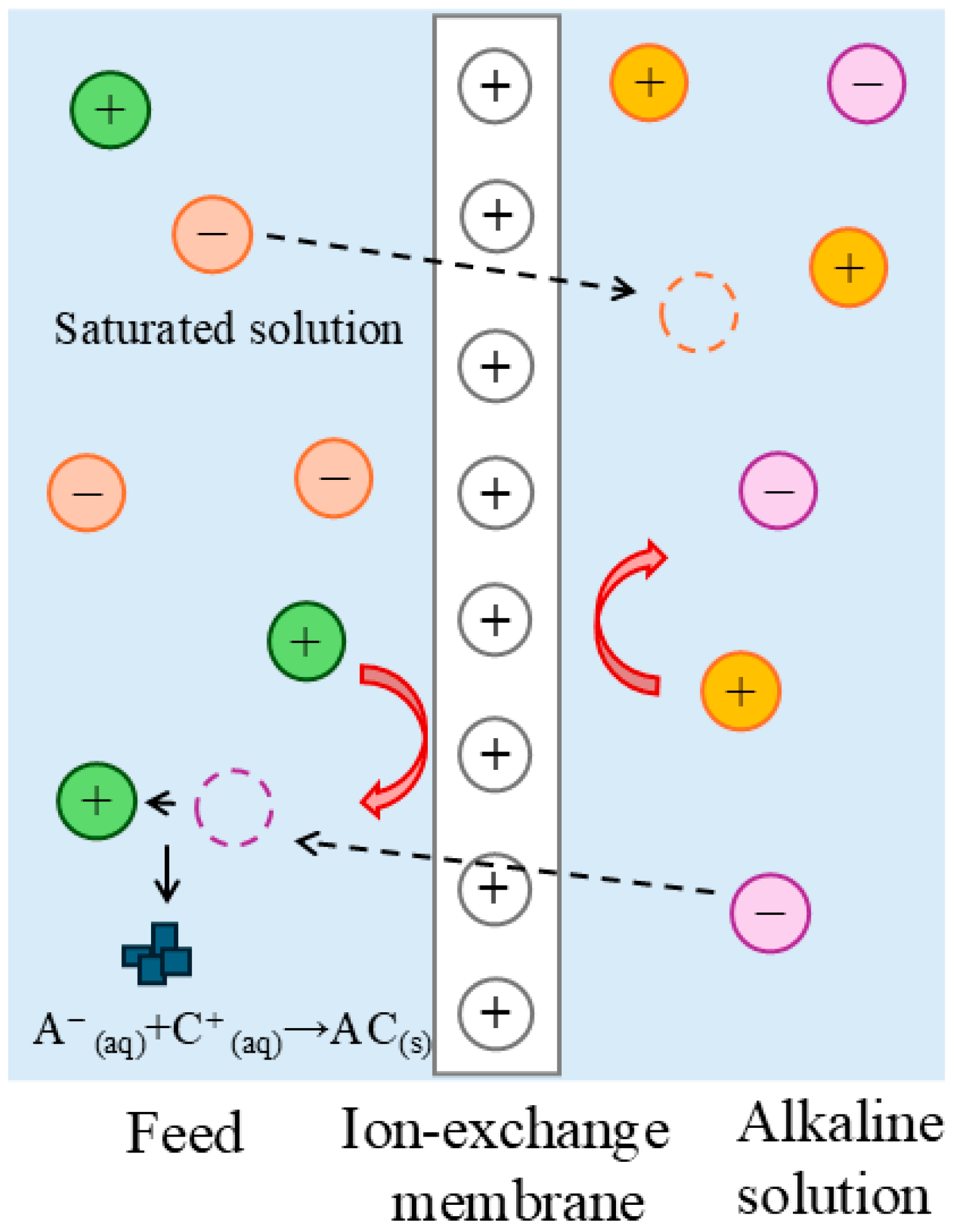 Membranes 15 00267 g001