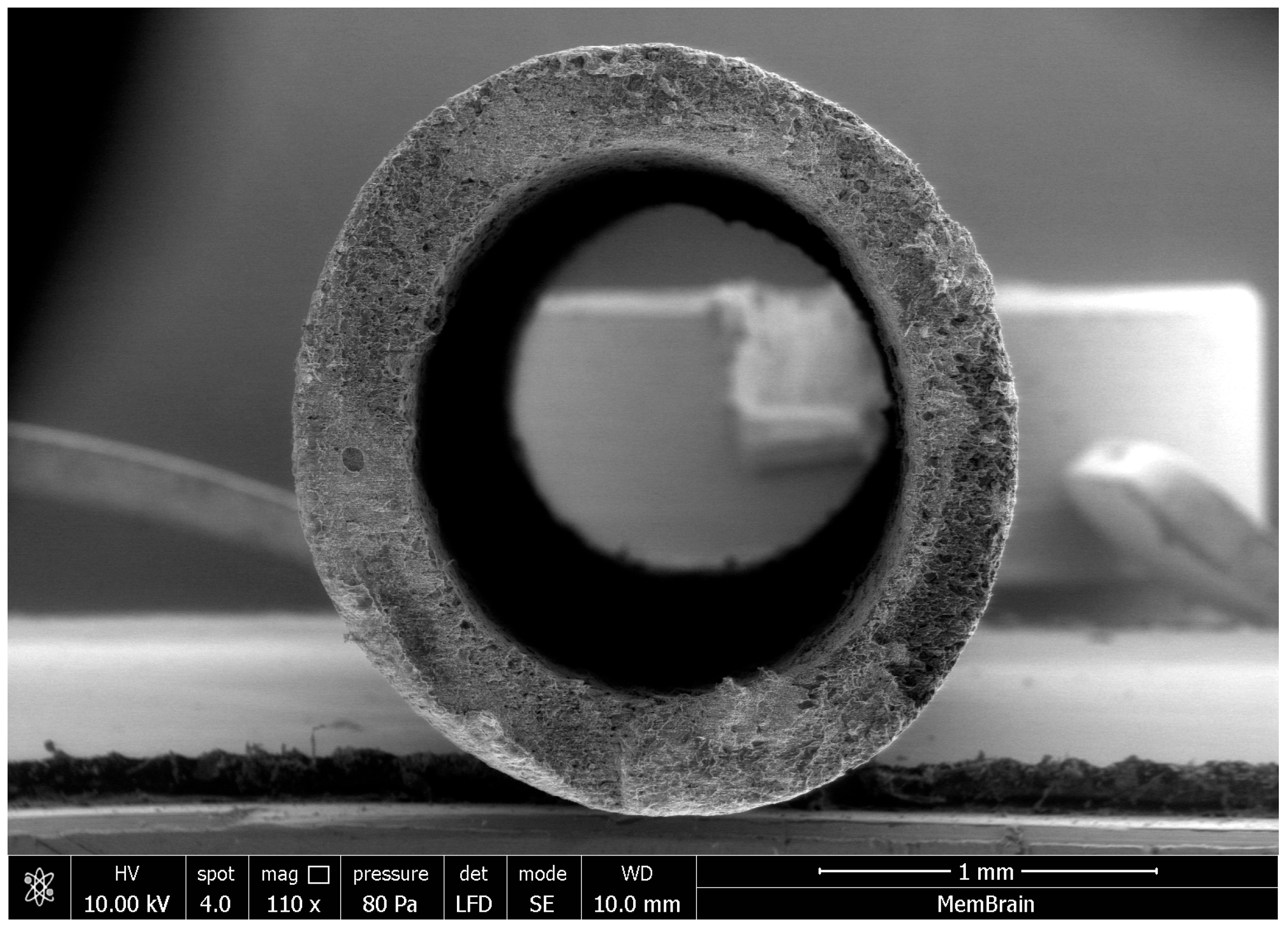 Membranes 15 00267 g002