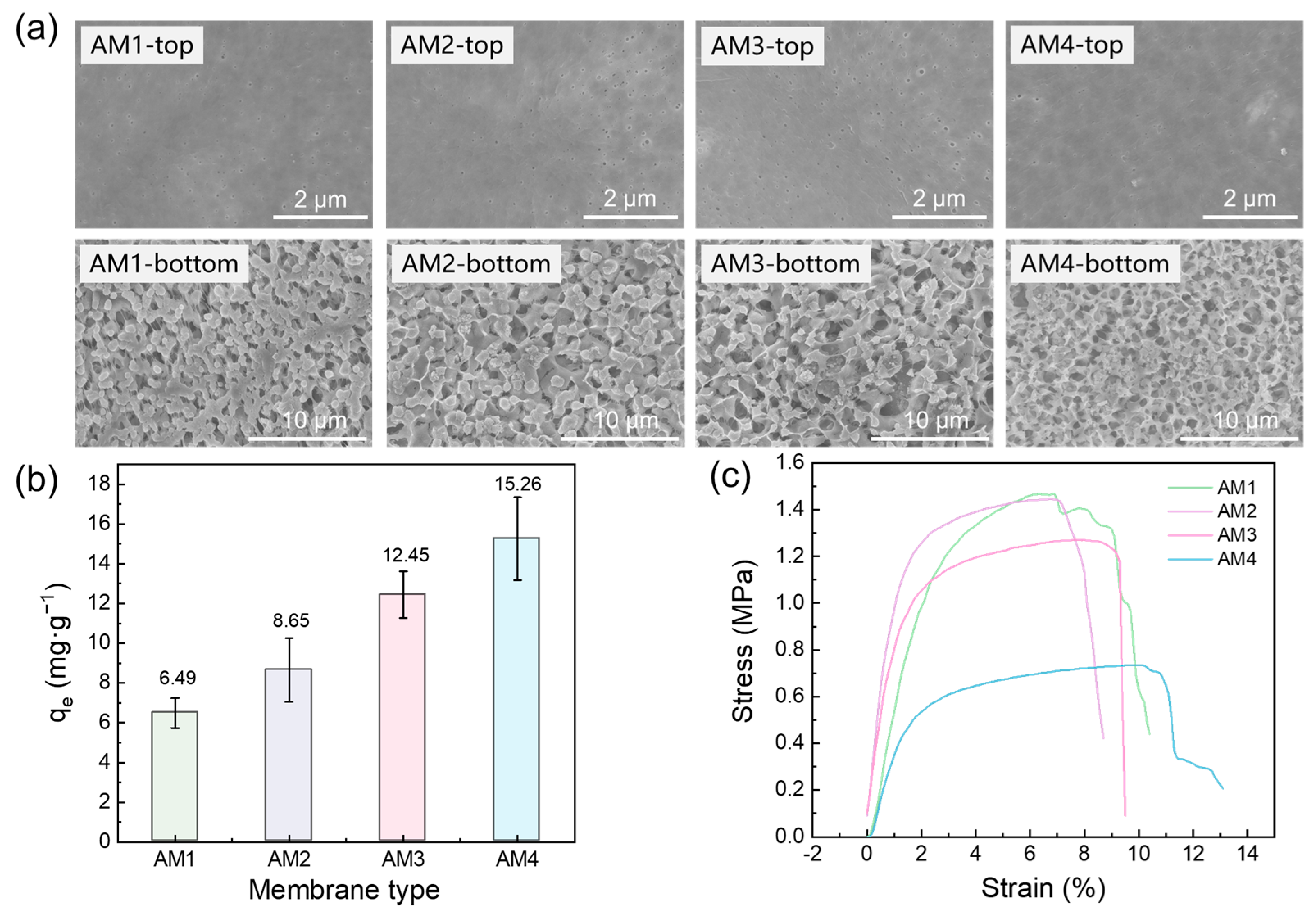 Membranes 15 00271 g004 Membranes 15 00271 g004