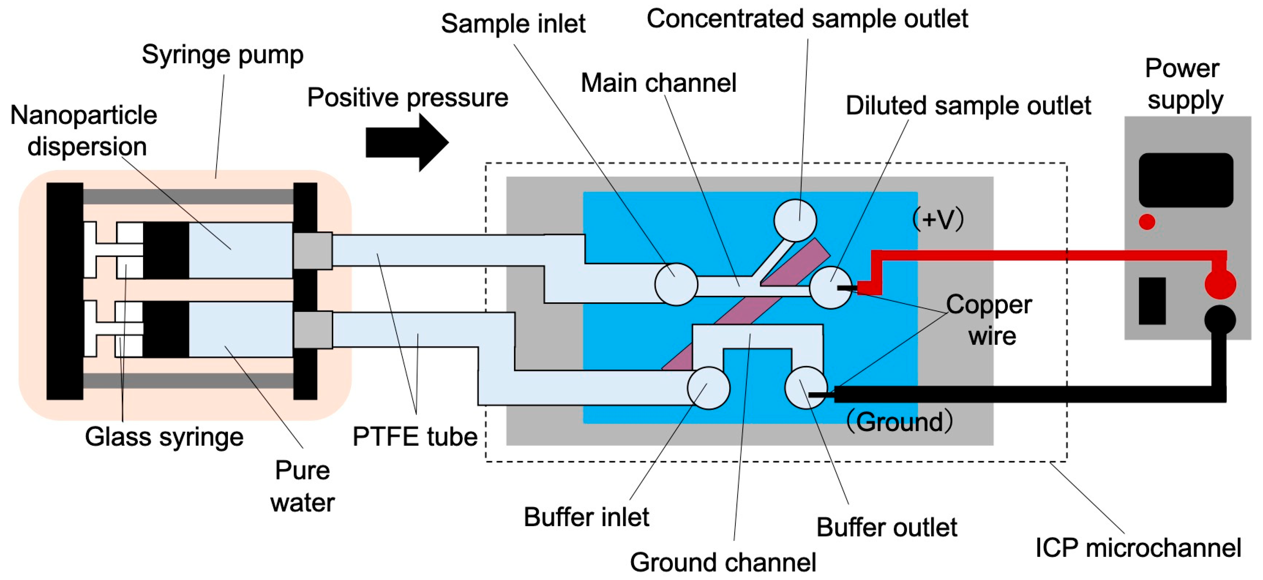 Membranes 15 00278 g004