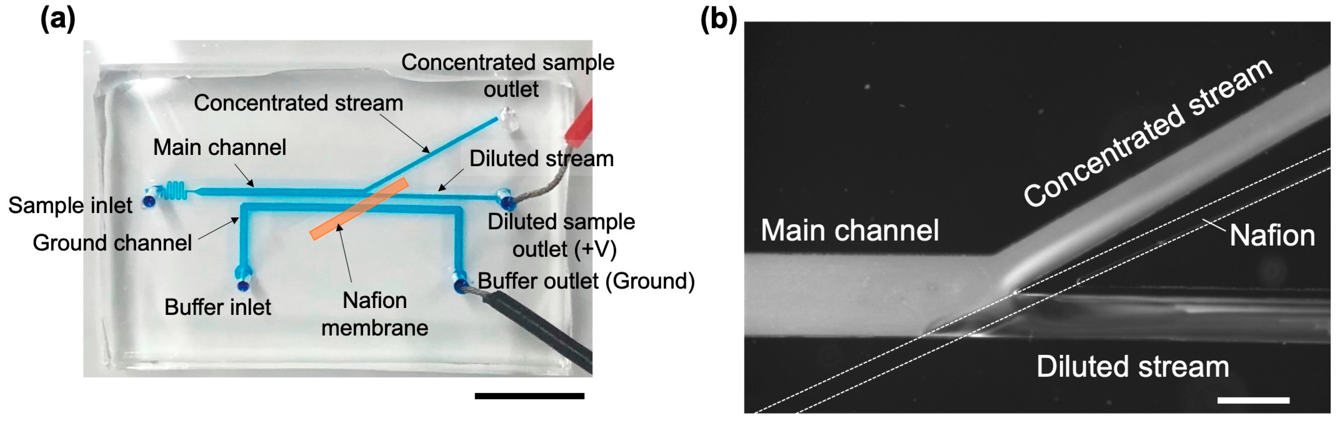 Membranes 15 00278 g006