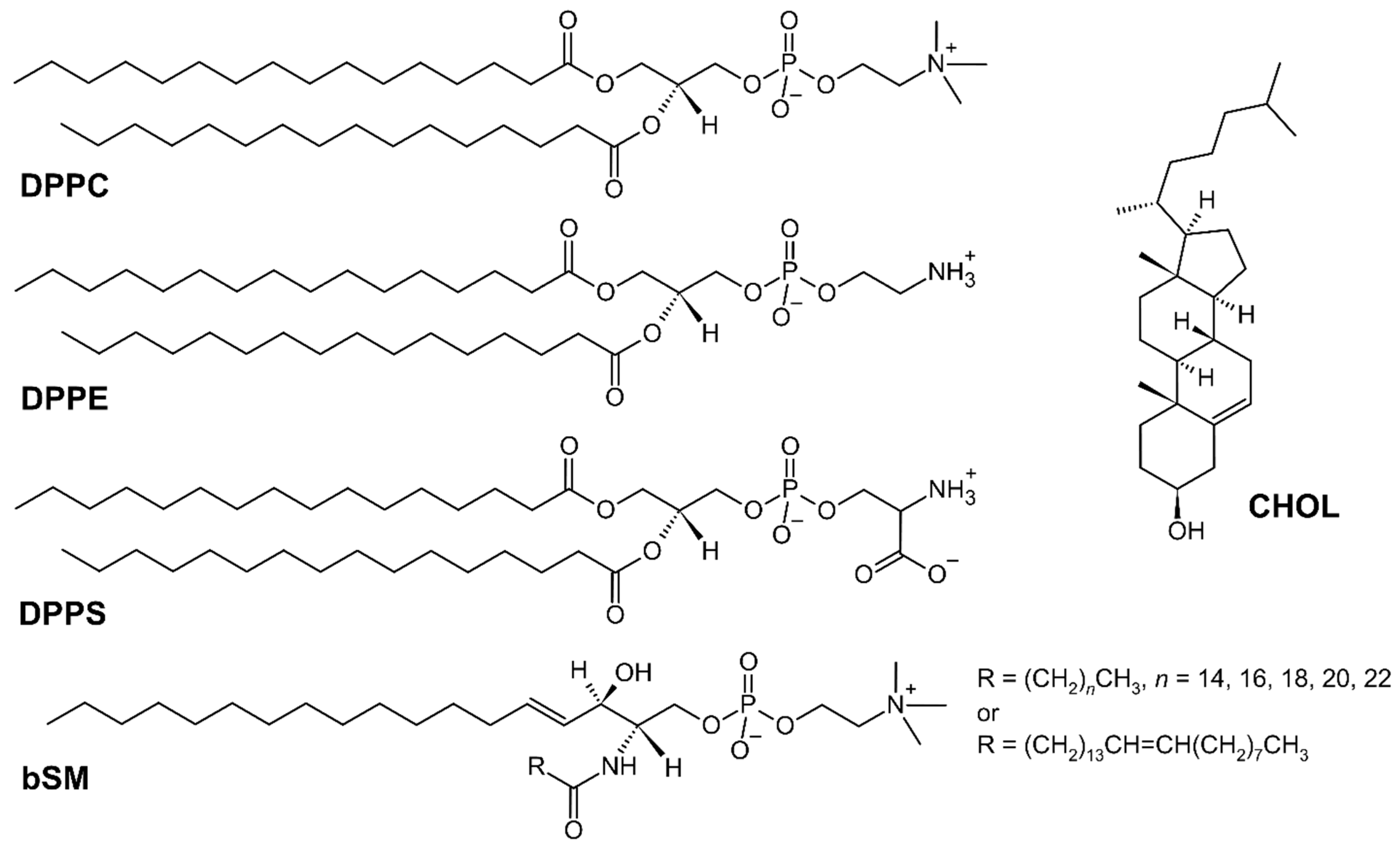 Membranes 15 00279 g001 Membranes 15 00279 g001