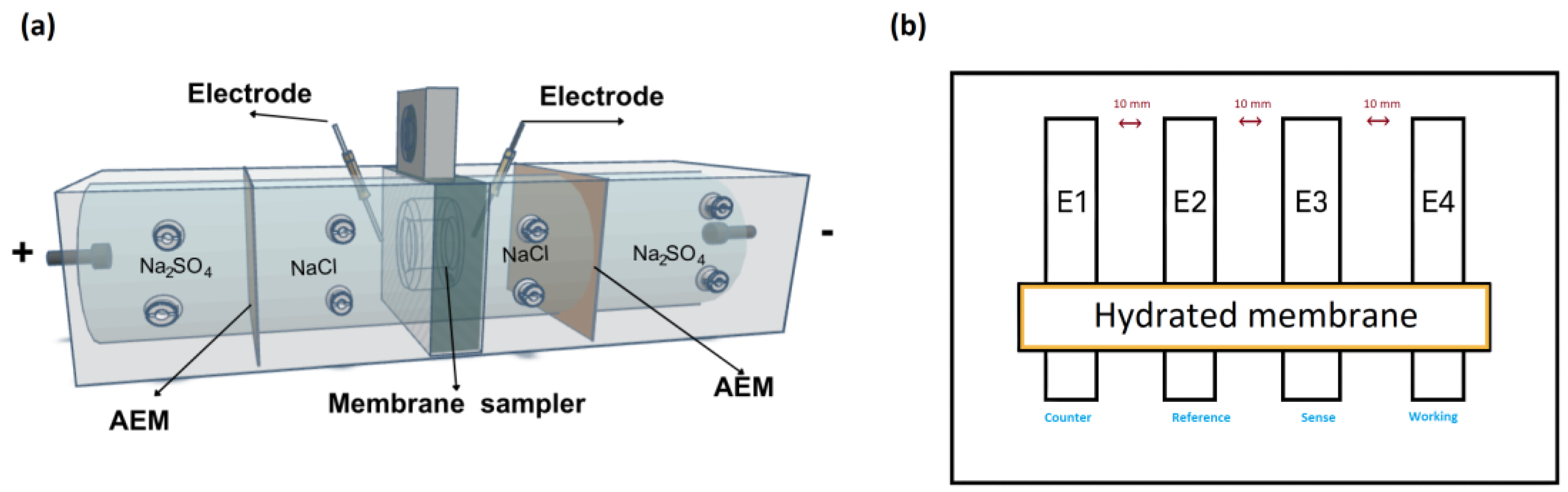 Membranes 15 00282 g001