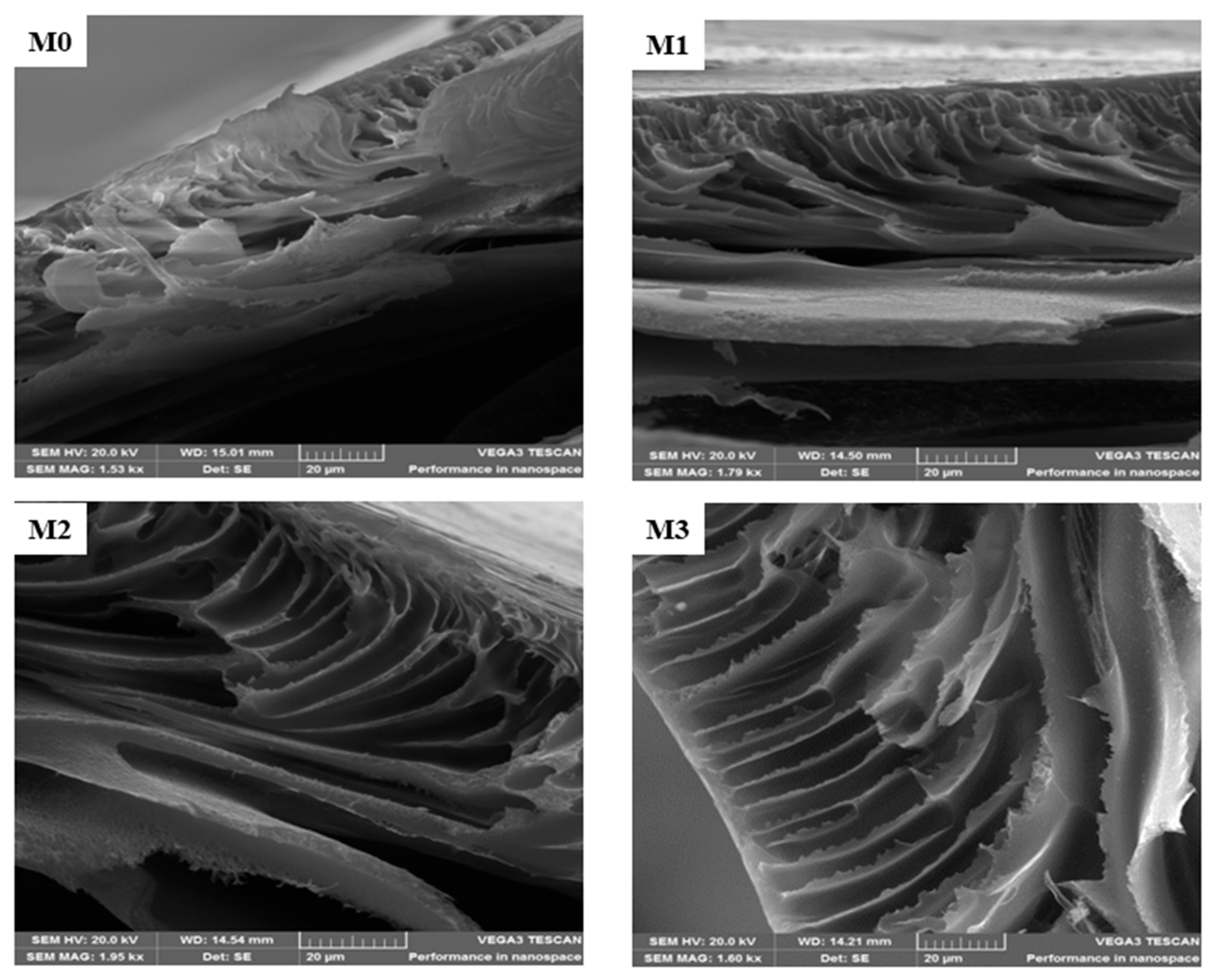 Membranes 15 00289 g002